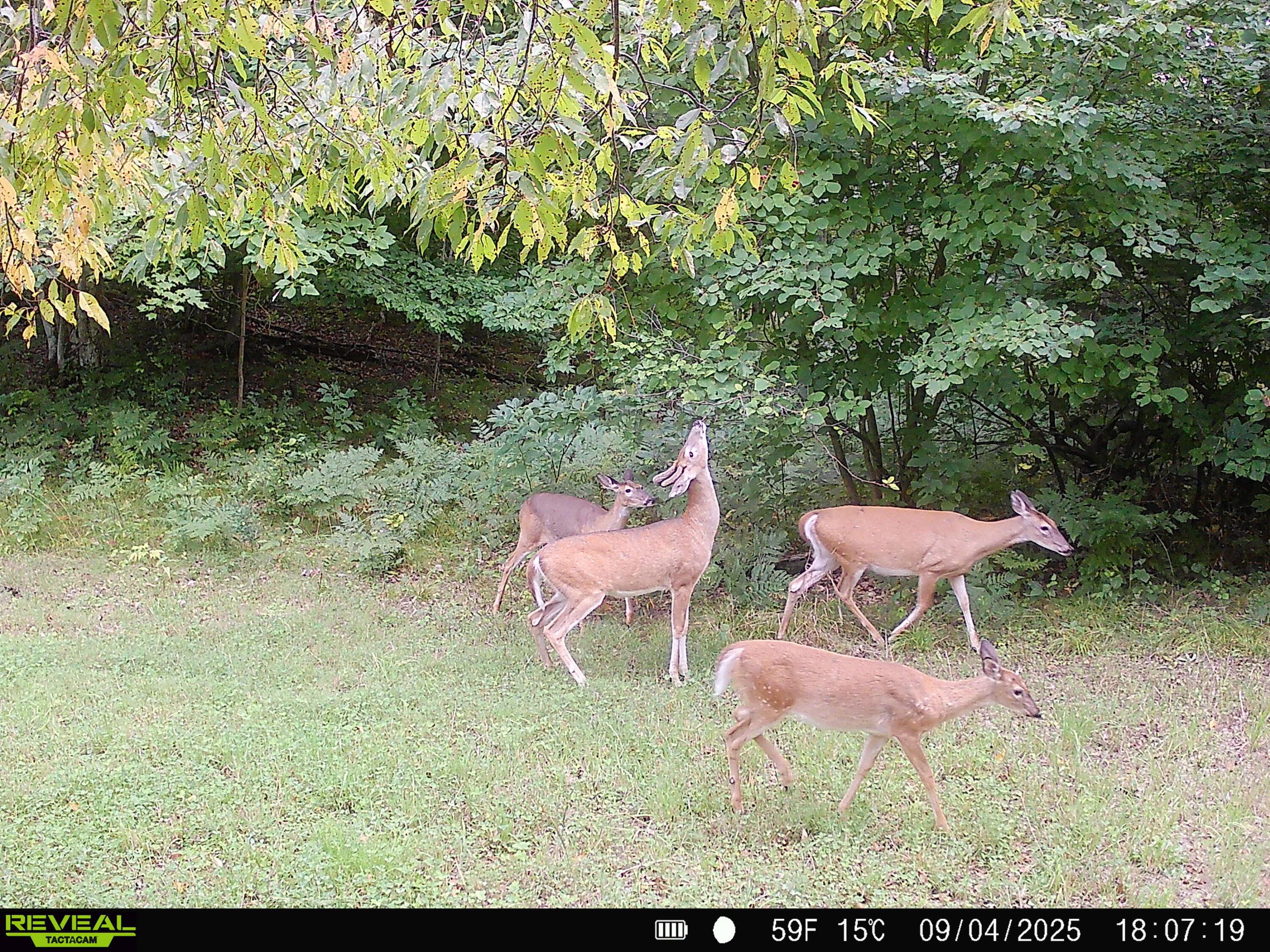 20179 Coates Highway Property Photo 31