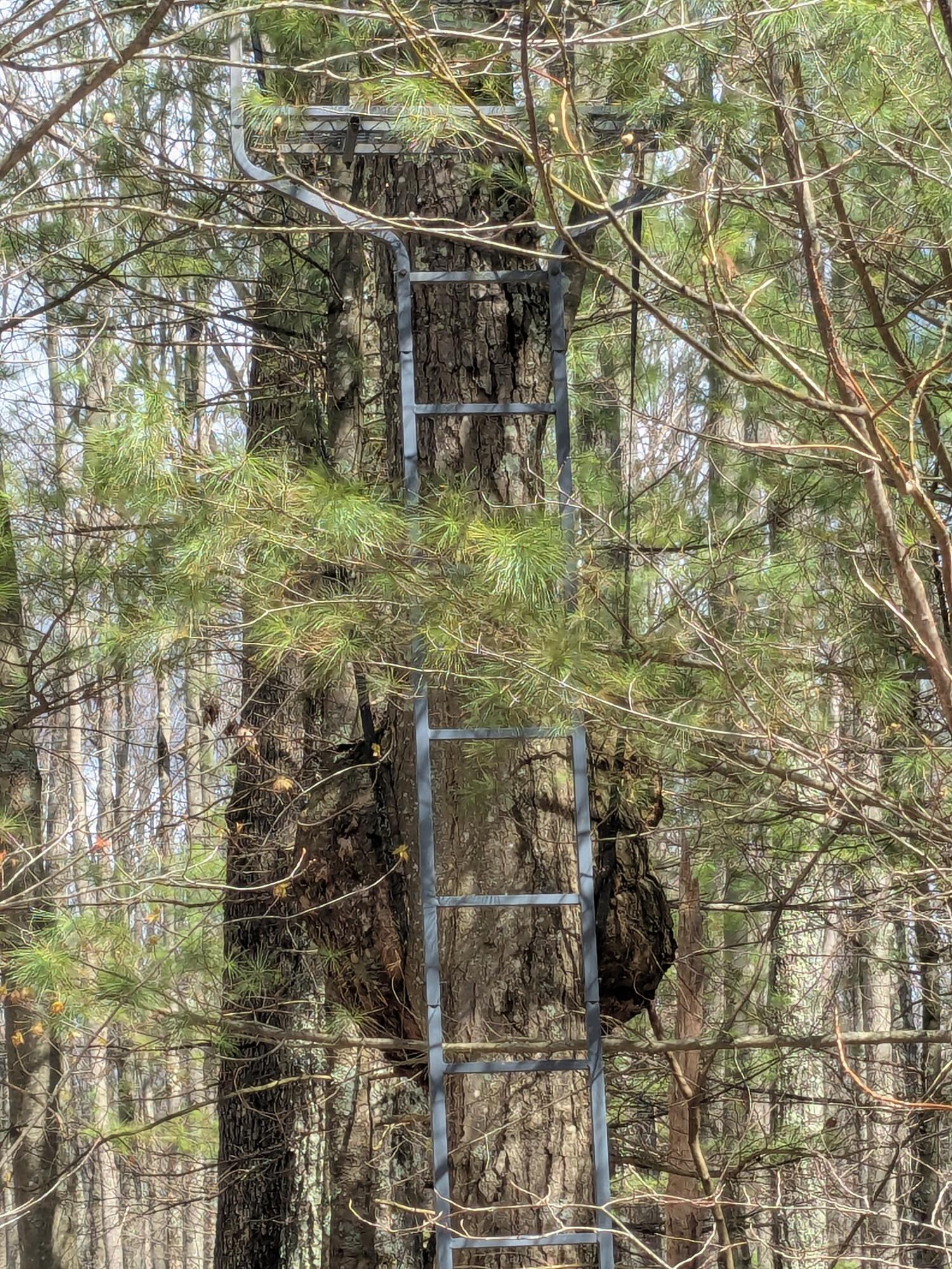 20179 Coates Highway Property Photo 39