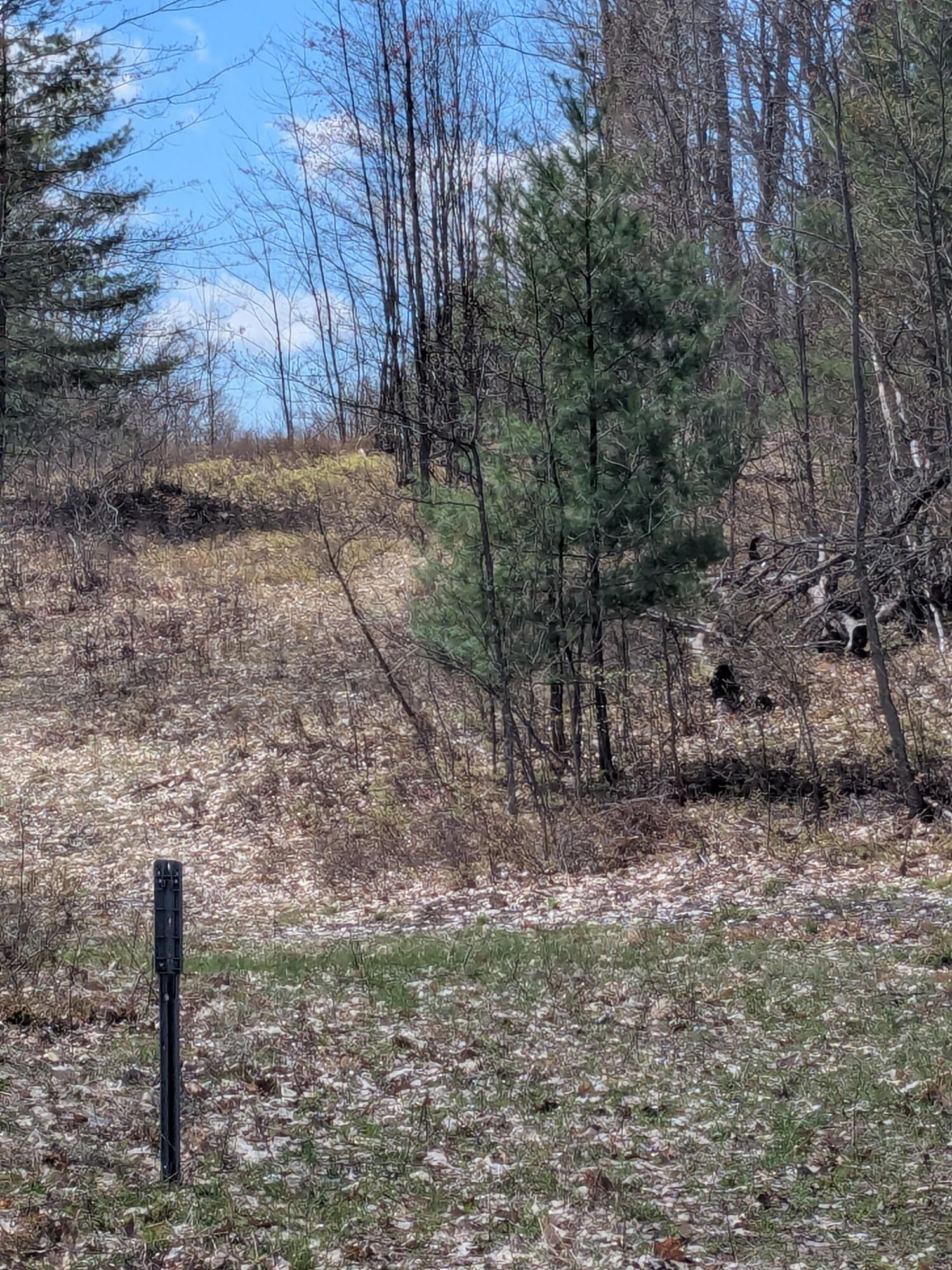20179 Coates Highway Property Photo 42