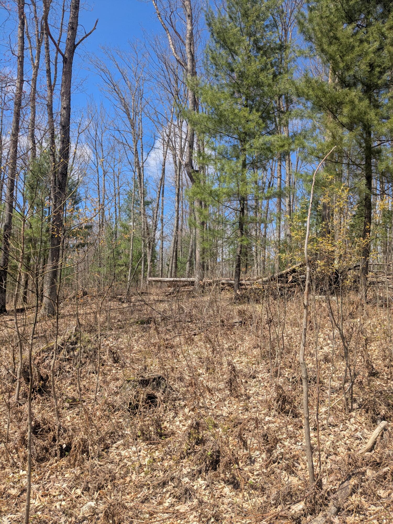 20179 Coates Highway Property Photo 43
