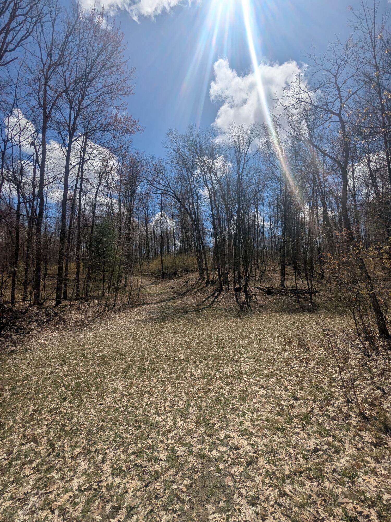 20179 Coates Highway Property Photo 45