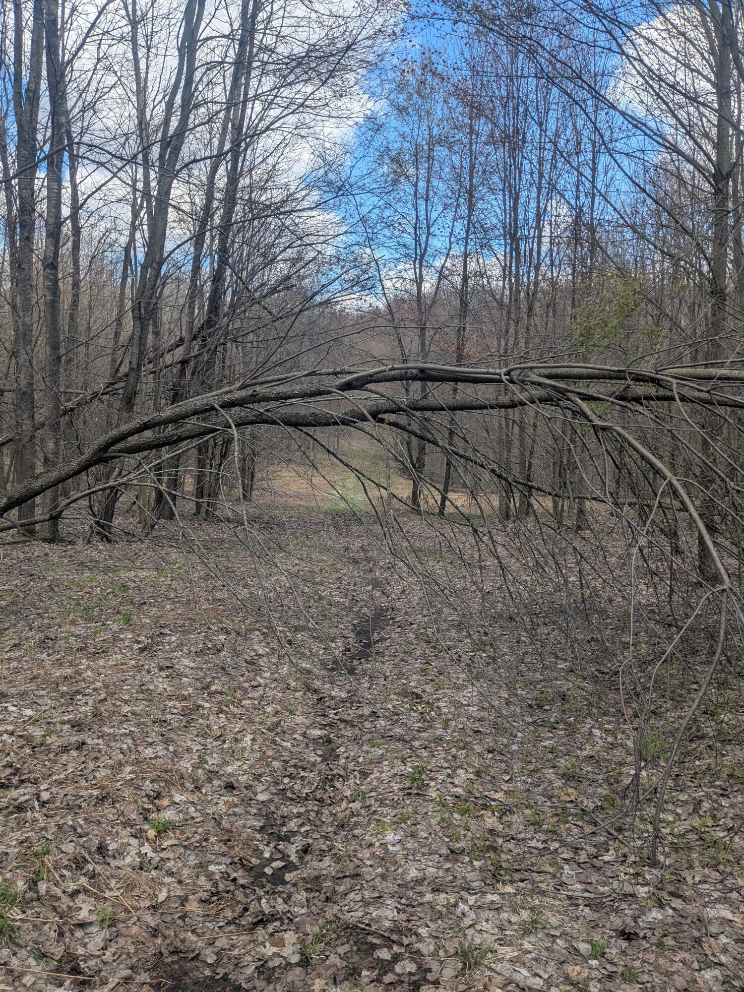 20179 Coates Highway Property Photo 52