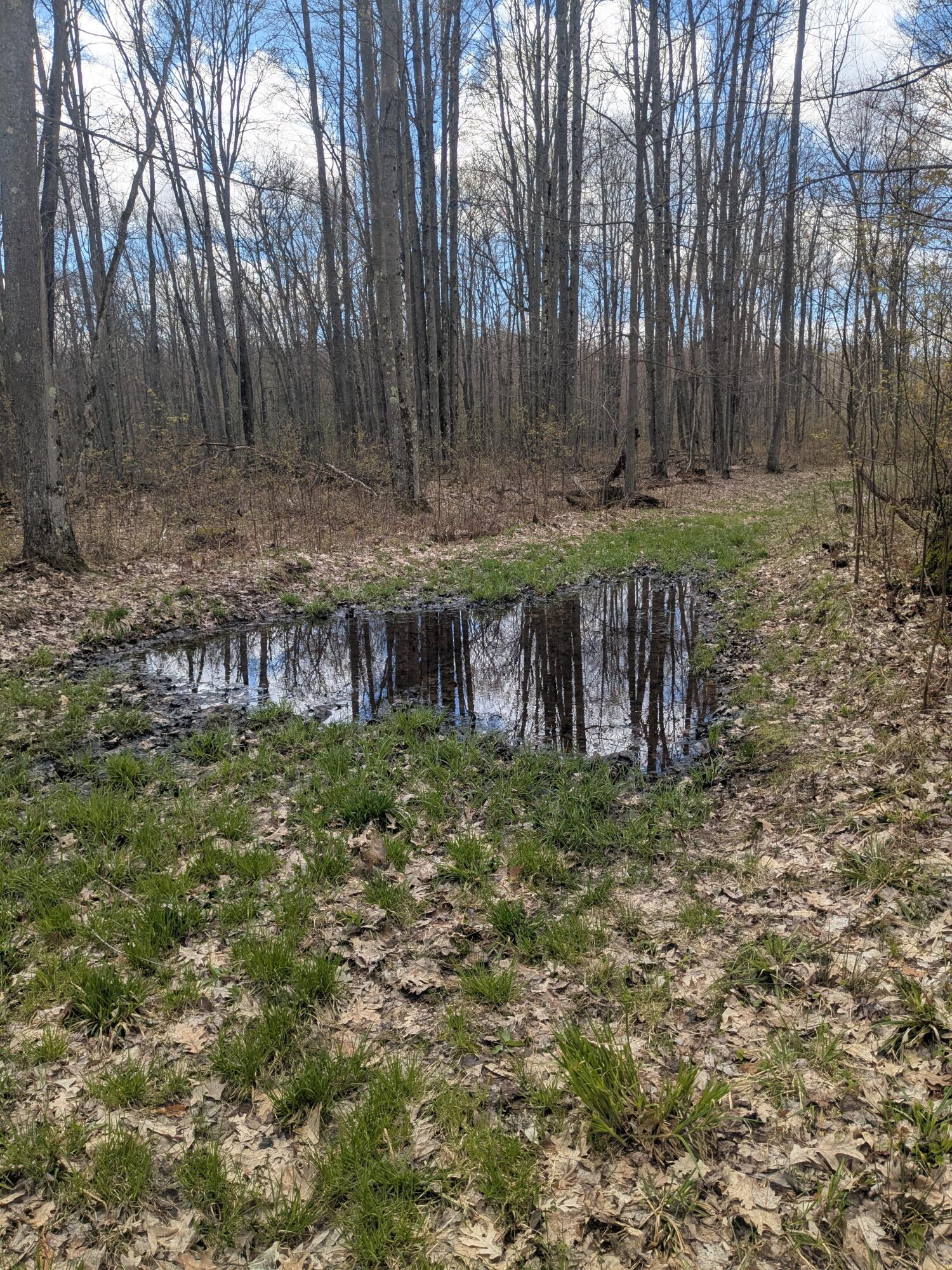 20179 Coates Highway Property Photo 53