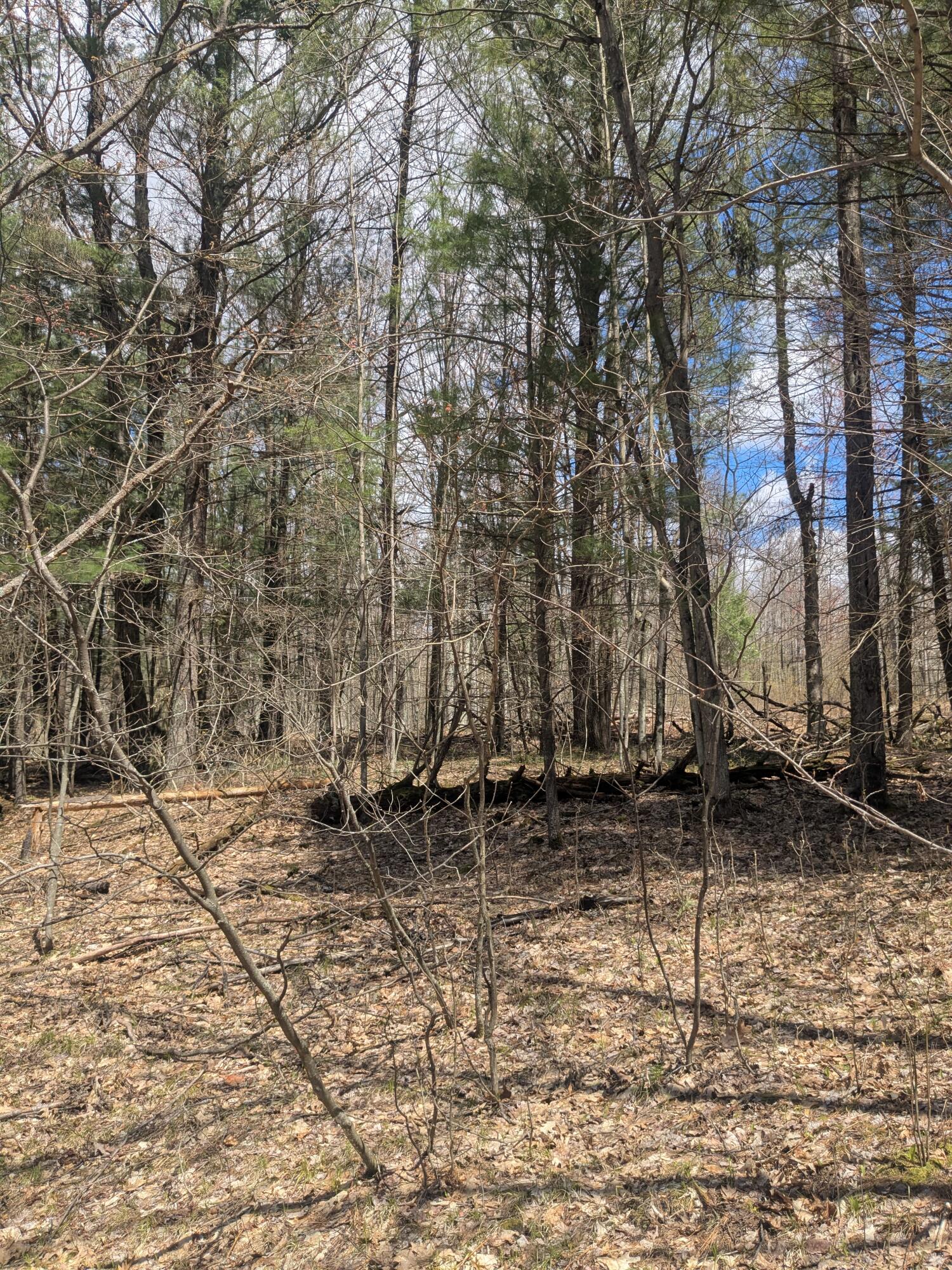 20179 Coates Highway Property Photo 56