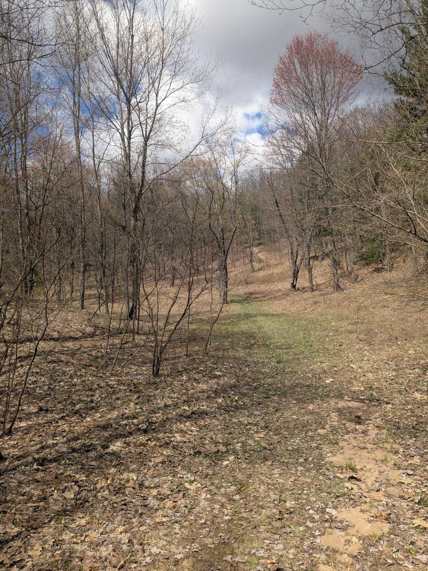 20179 Coates Highway Property Photo 57