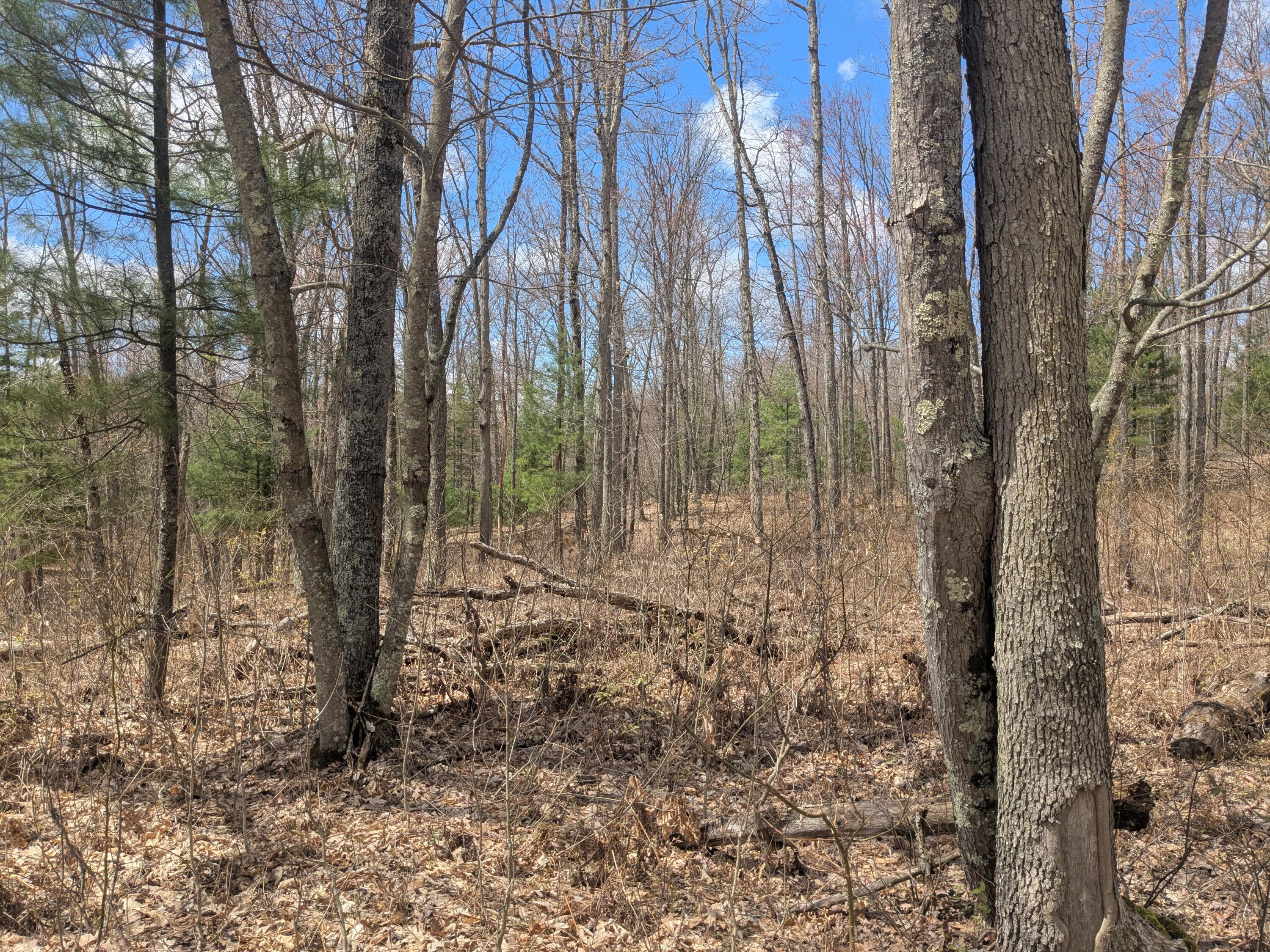 20179 Coates Highway Property Photo 58