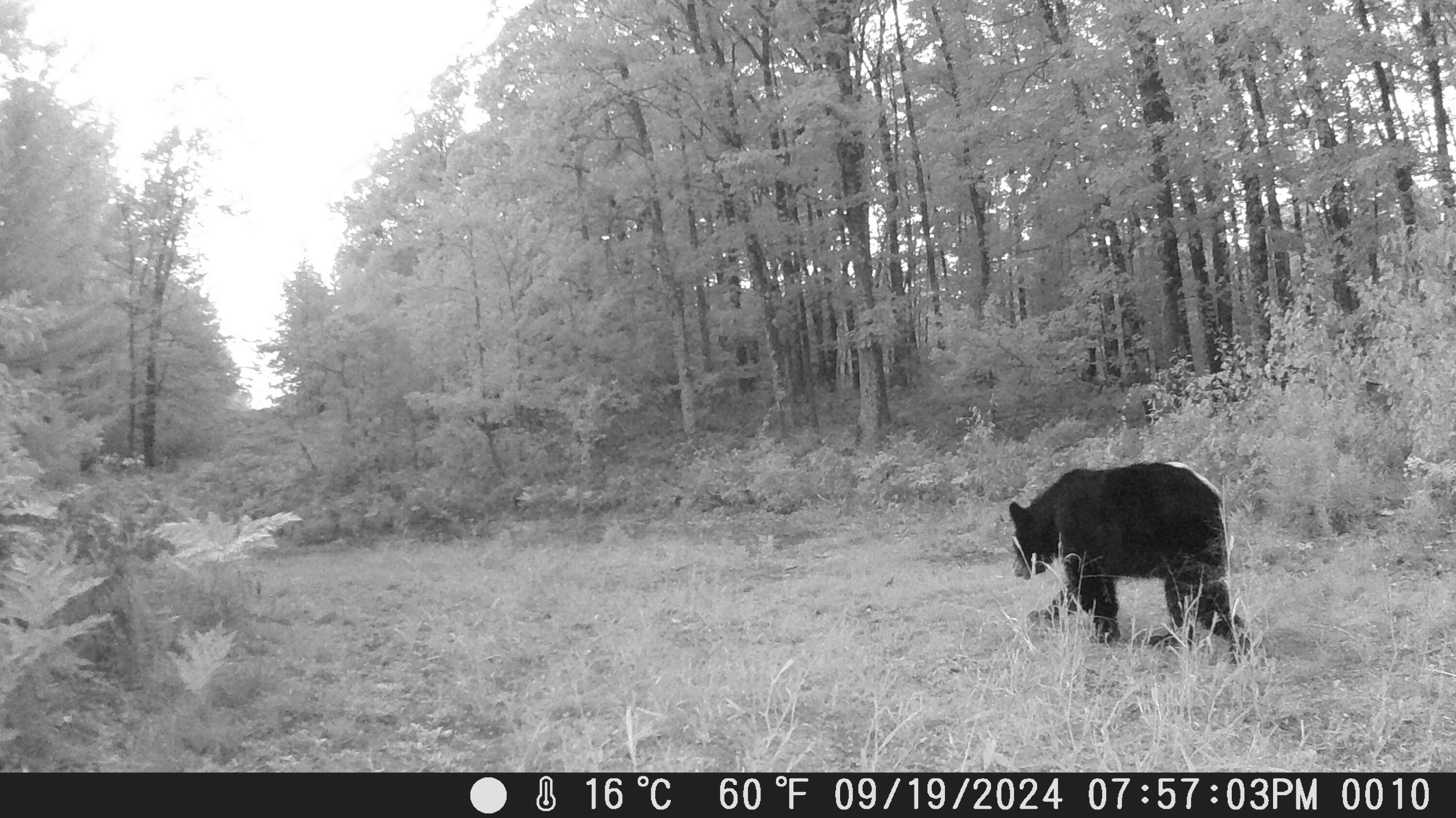 20179 Coates Highway Property Photo 61