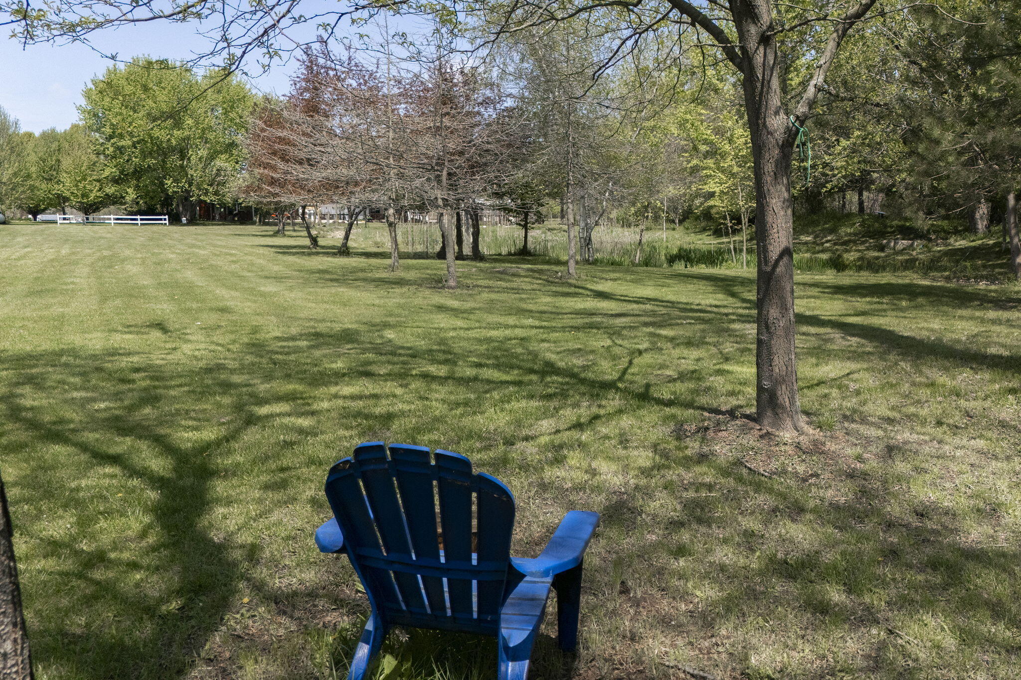 11971 S Hildebrandt Road Property Photo 4
