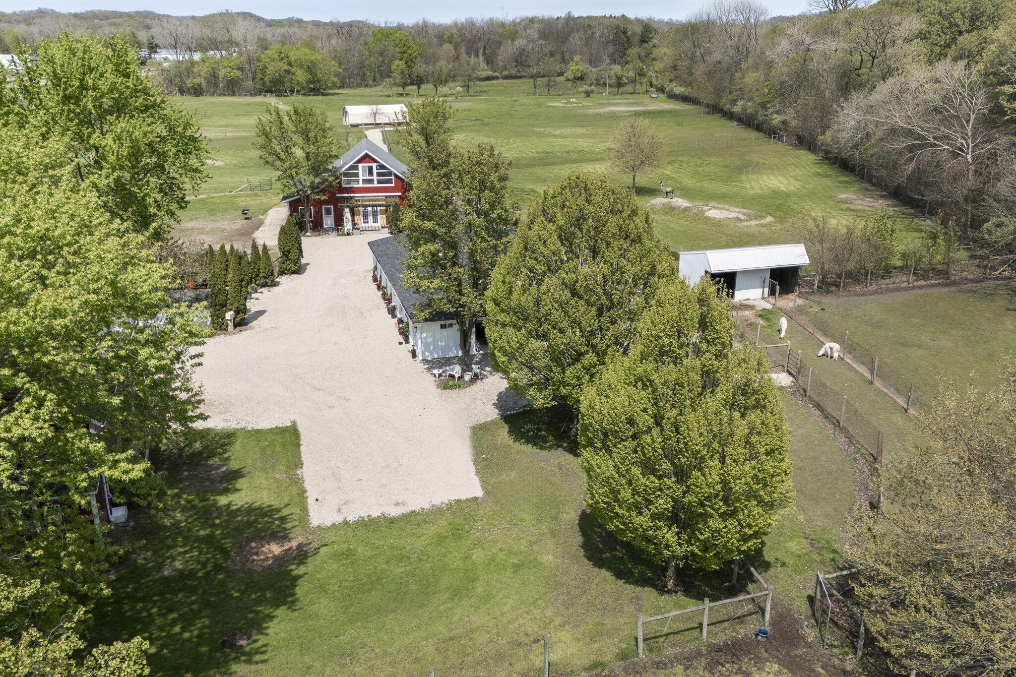 11971 S Hildebrandt Road Property Photo 8