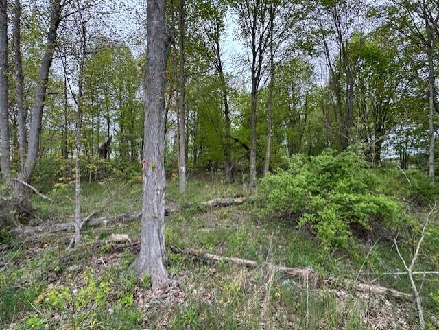 460 Industrial Park Drive Property Photo 4