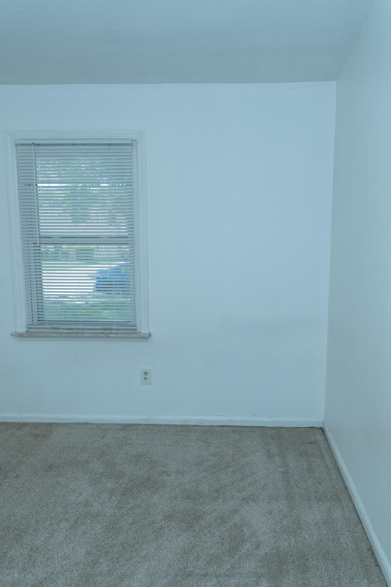 3525 Syracuse Street Property Photo 12