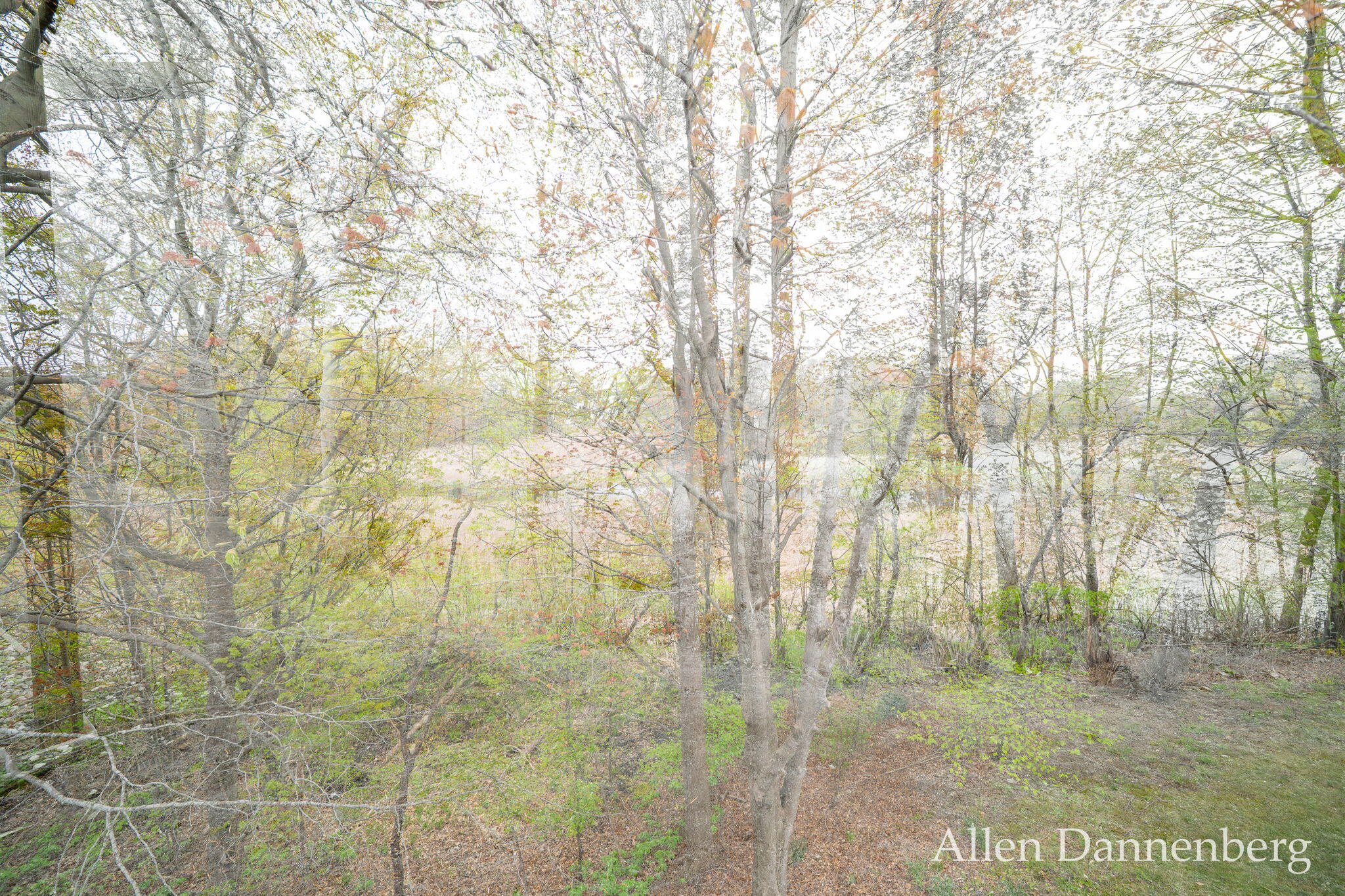 845 Bluff Creek Drive Property Photo 43