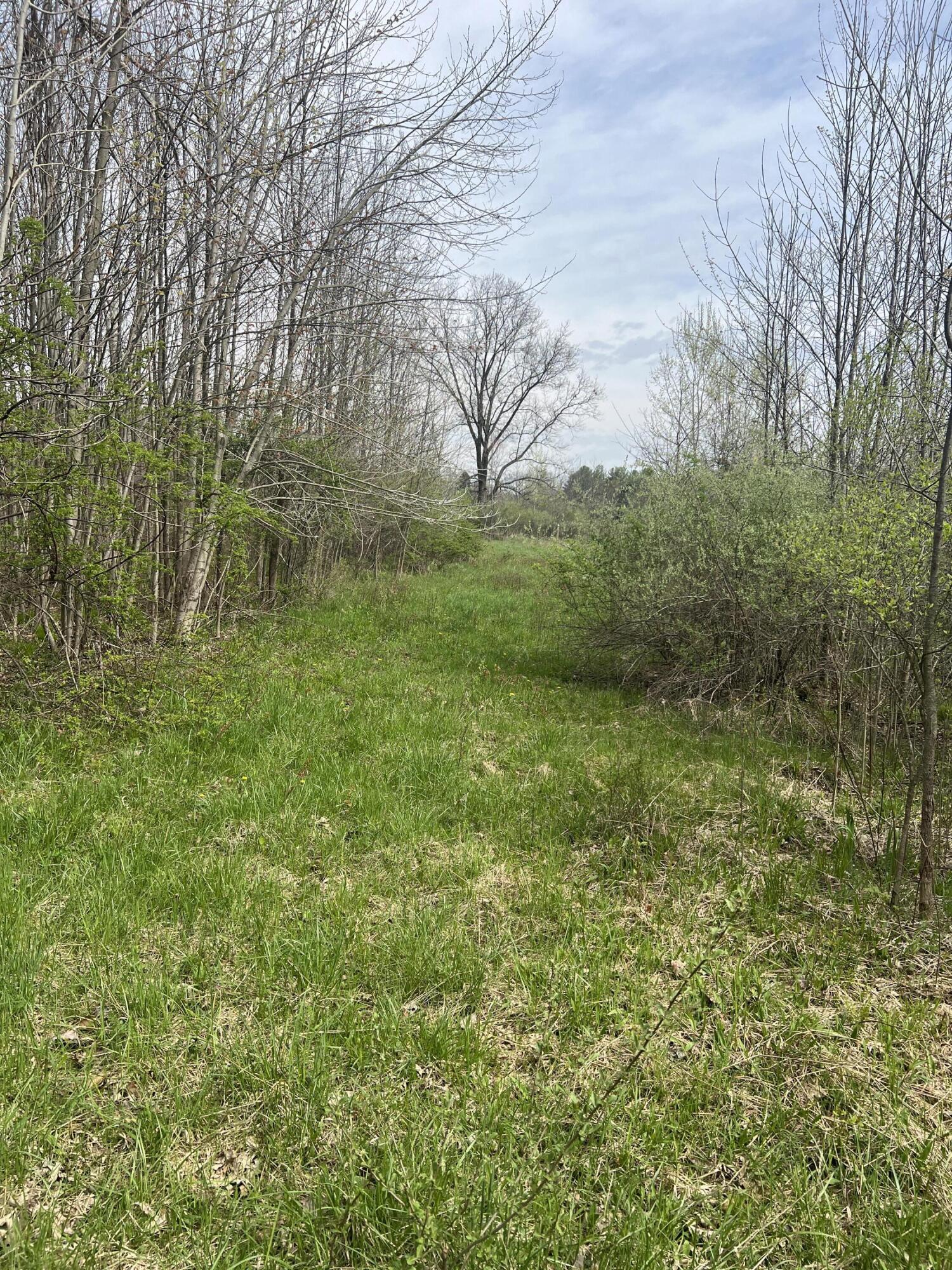 4816 109th Avenue Property Photo 14