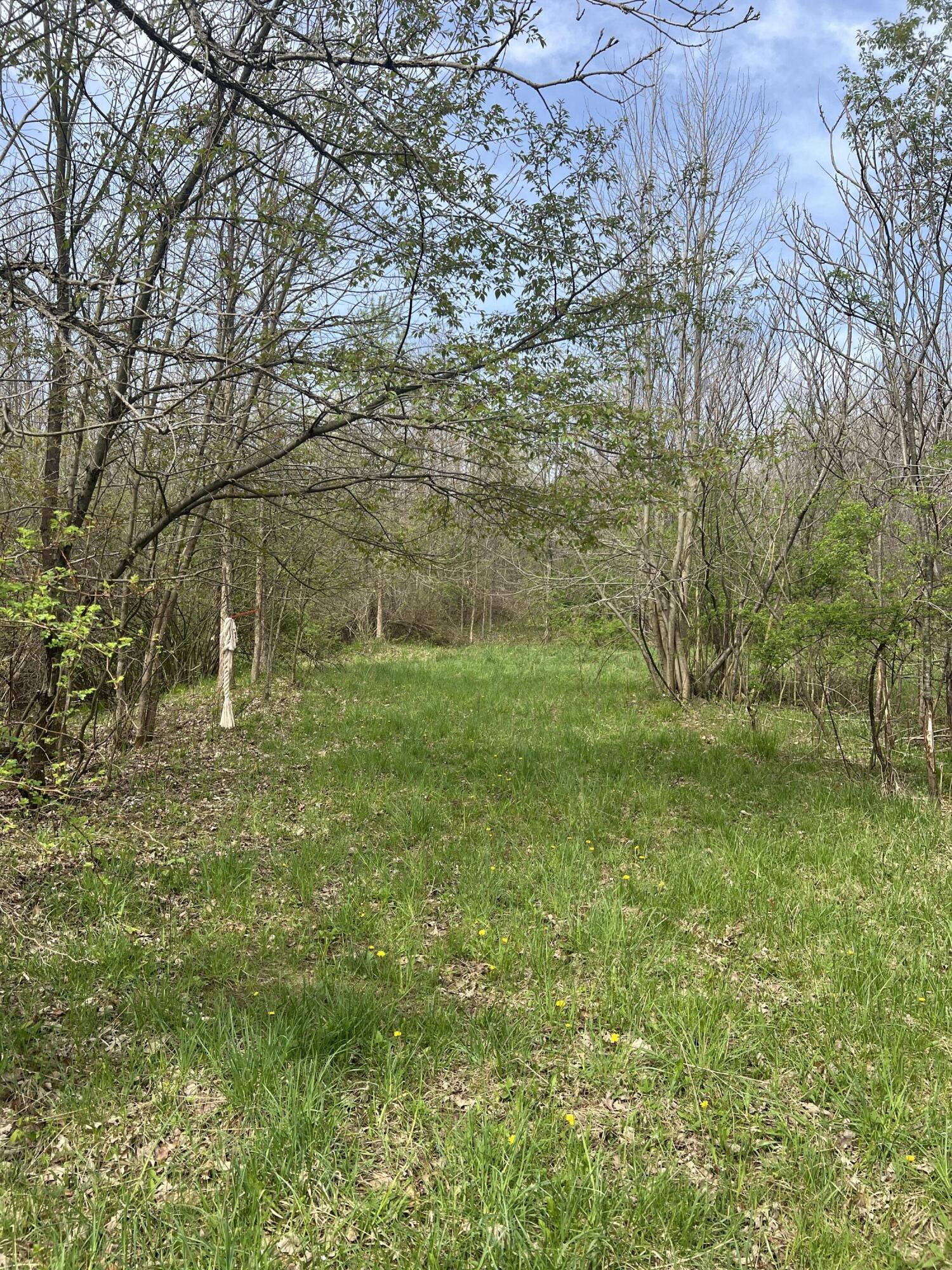 4816 109th Avenue Property Photo 15