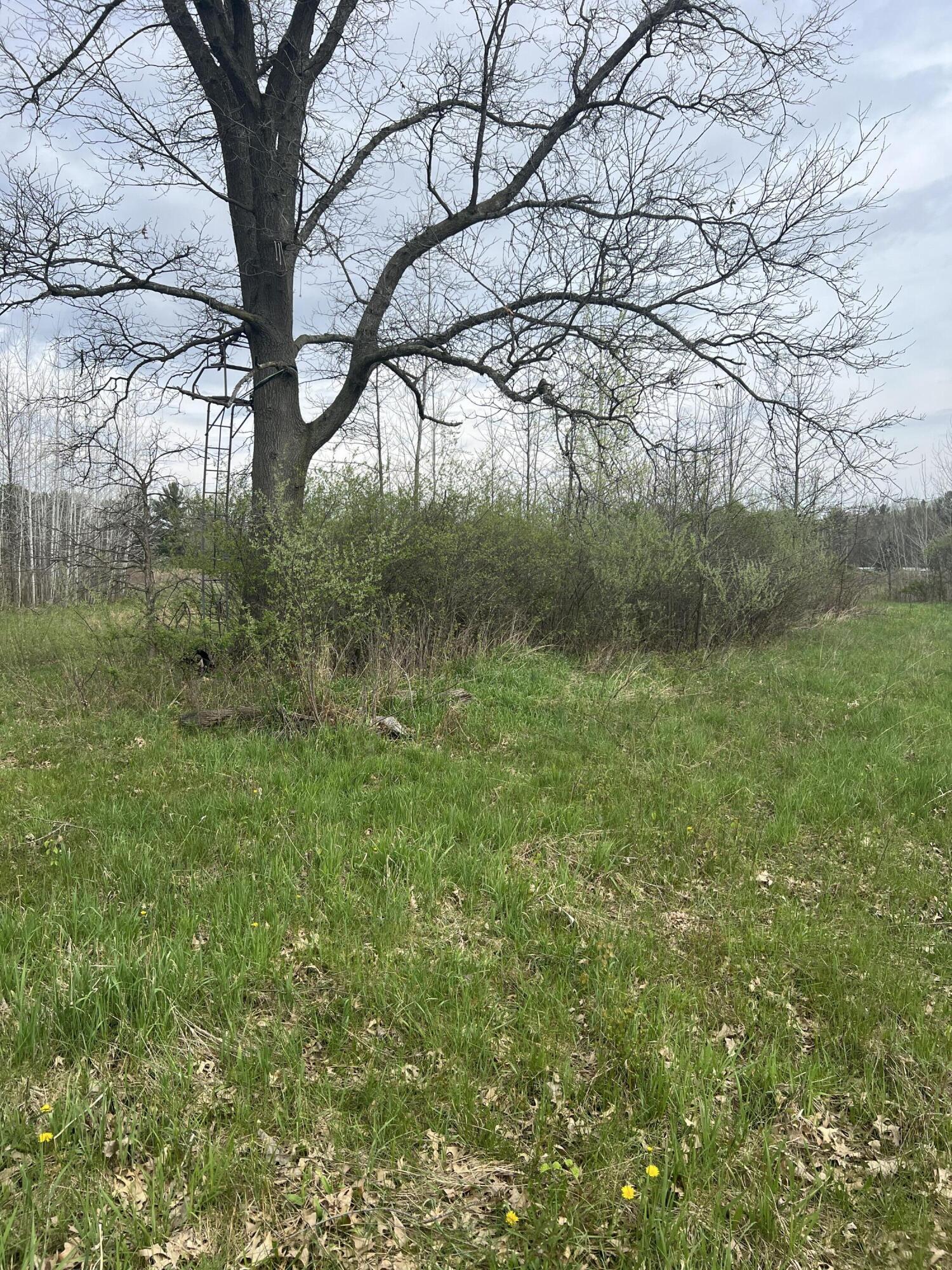 4816 109th Avenue Property Photo 20