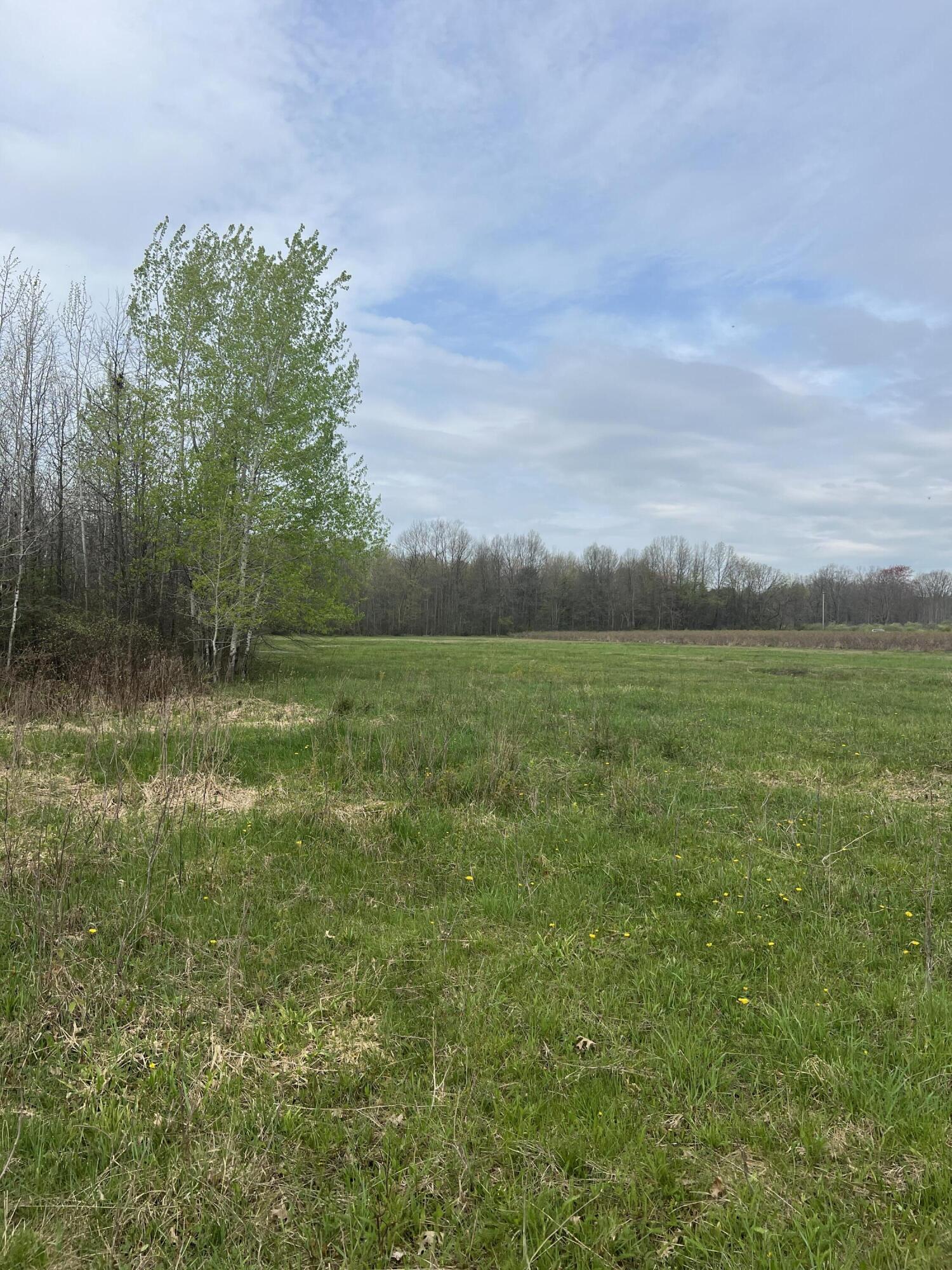 4816 109th Avenue Property Photo 22