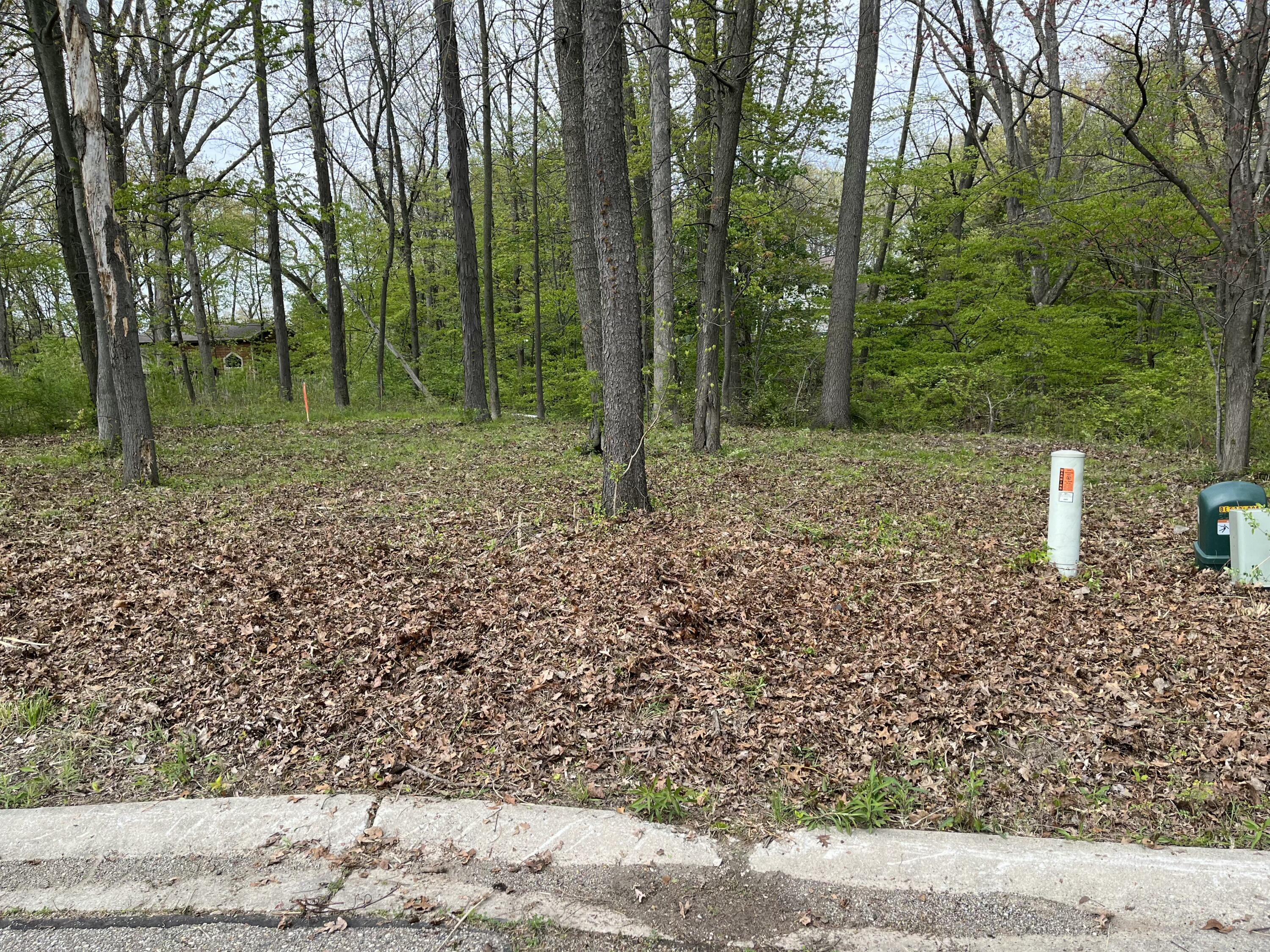820 E Indiana Street Property Photo 4