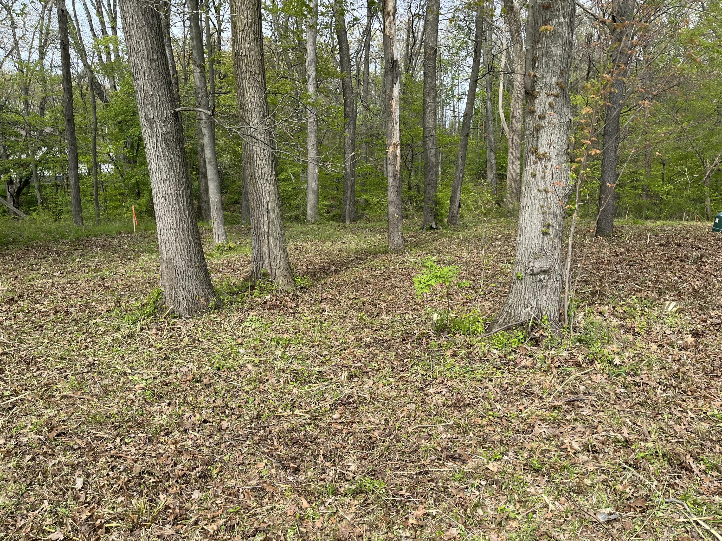 820 E Indiana Street Property Photo 6