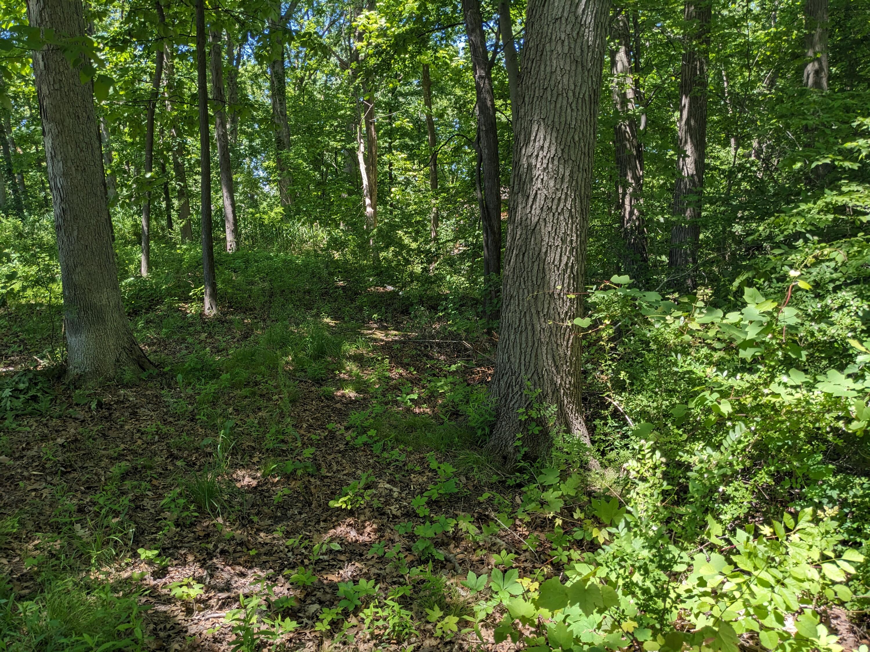 816 & 820 E Indiana Circle Property Photo 11