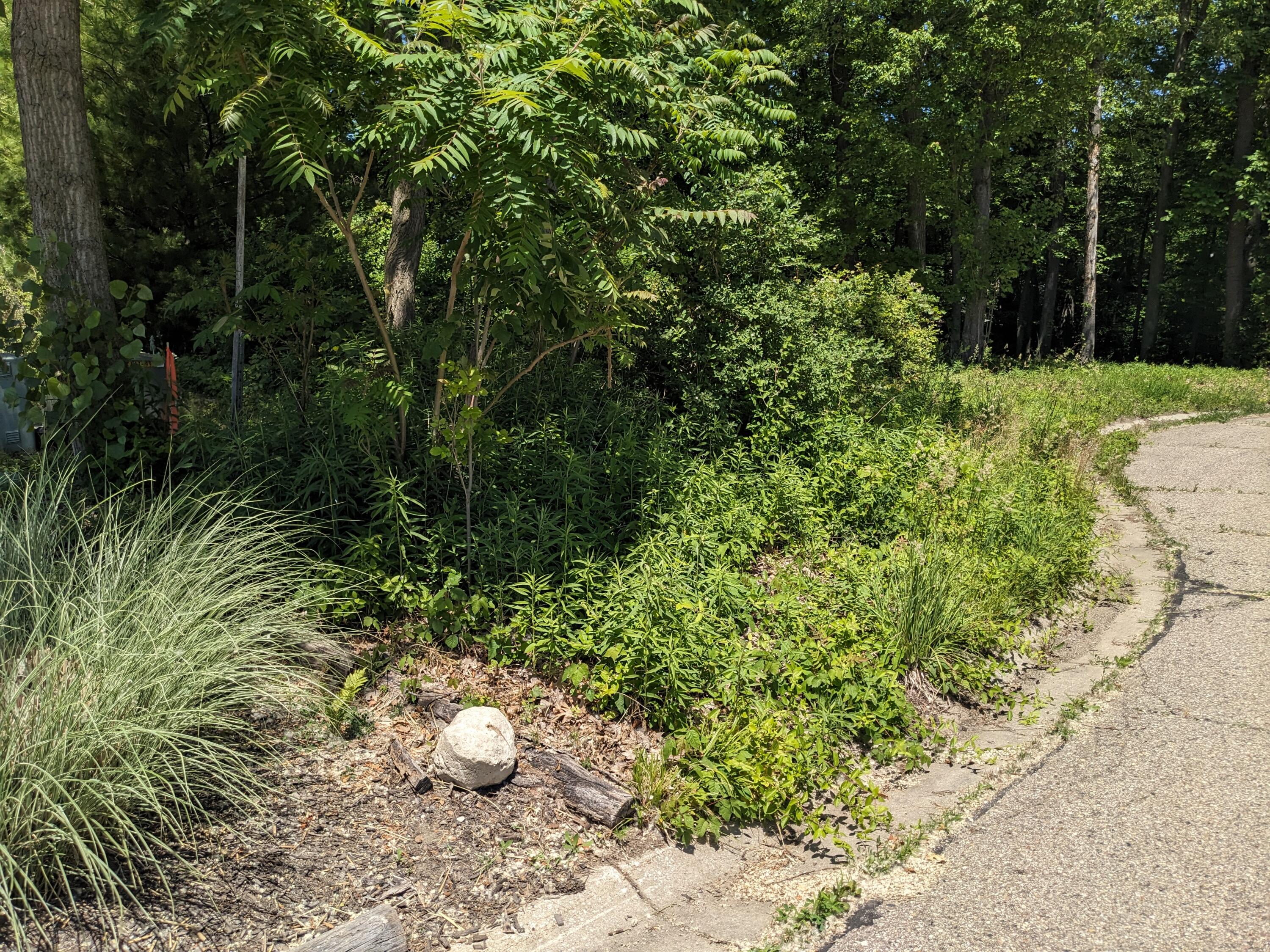 816 & 820 E Indiana Circle Property Photo 15