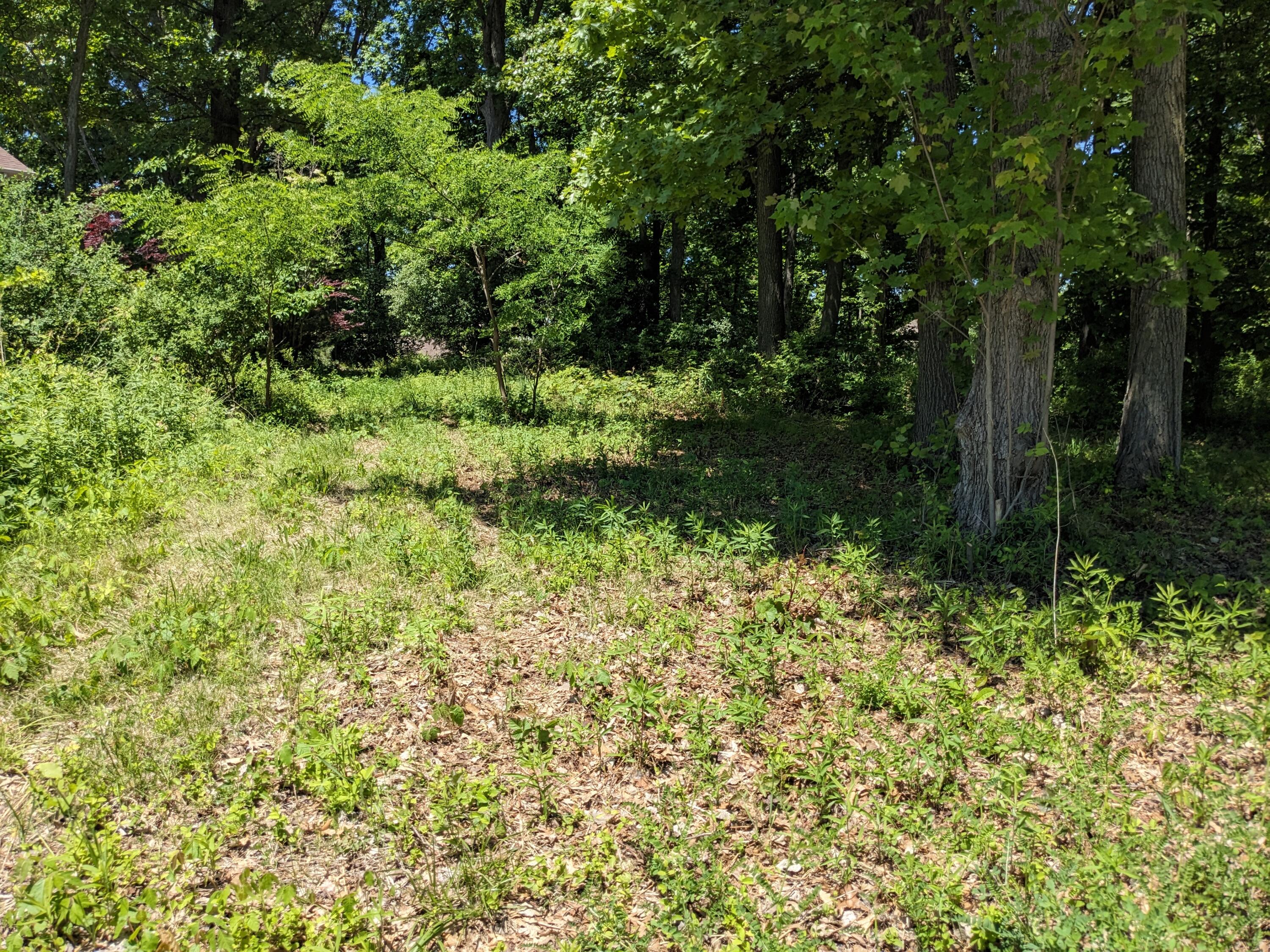 816 & 820 E Indiana Circle Property Photo 43