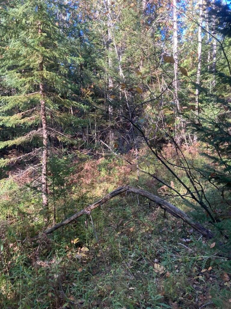 9165 Afton Road Property Photo 2