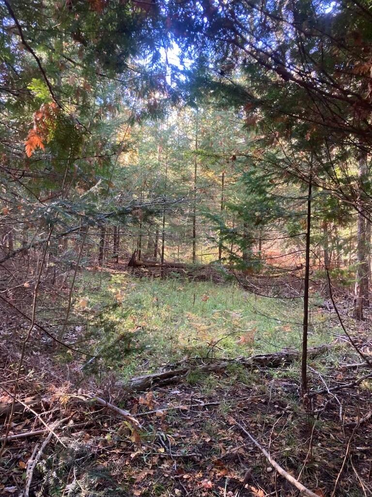 9165 Afton Road Property Photo 3