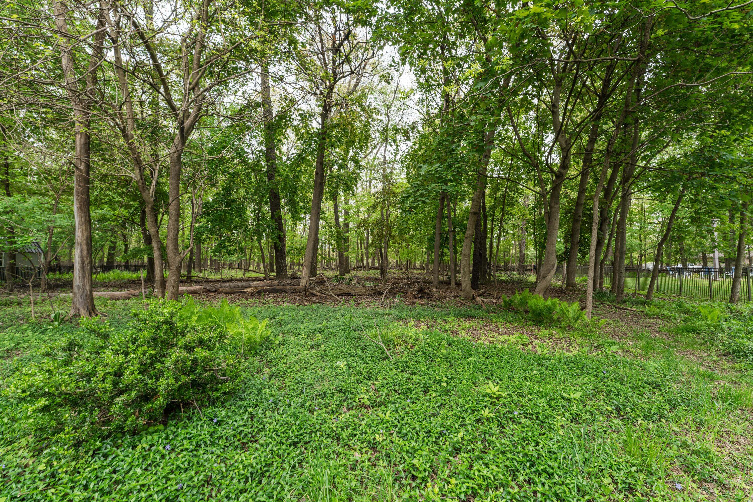 3025 Bryn Mawr Drive Property Photo 6