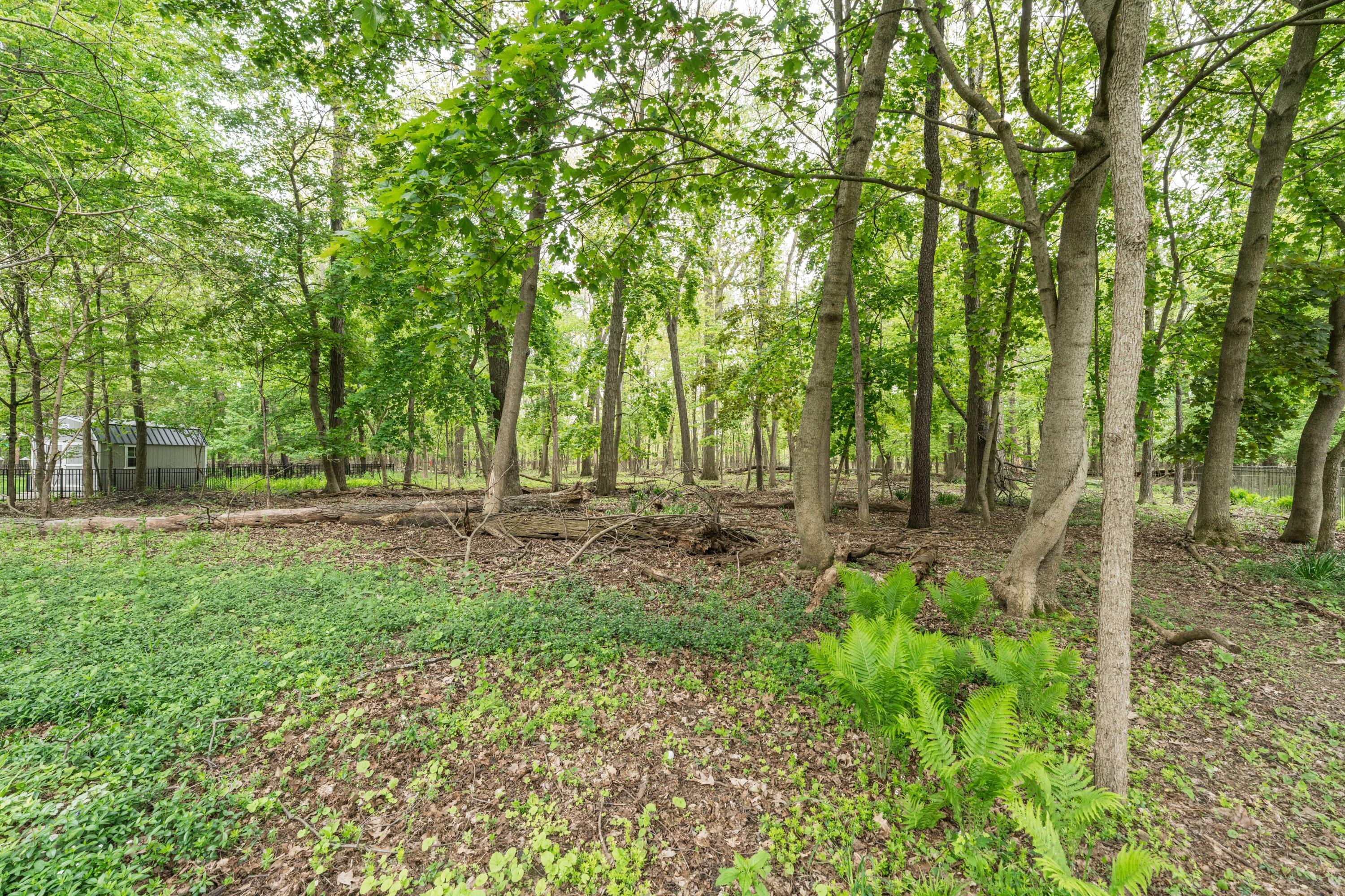 3025 Bryn Mawr Drive Property Photo 8