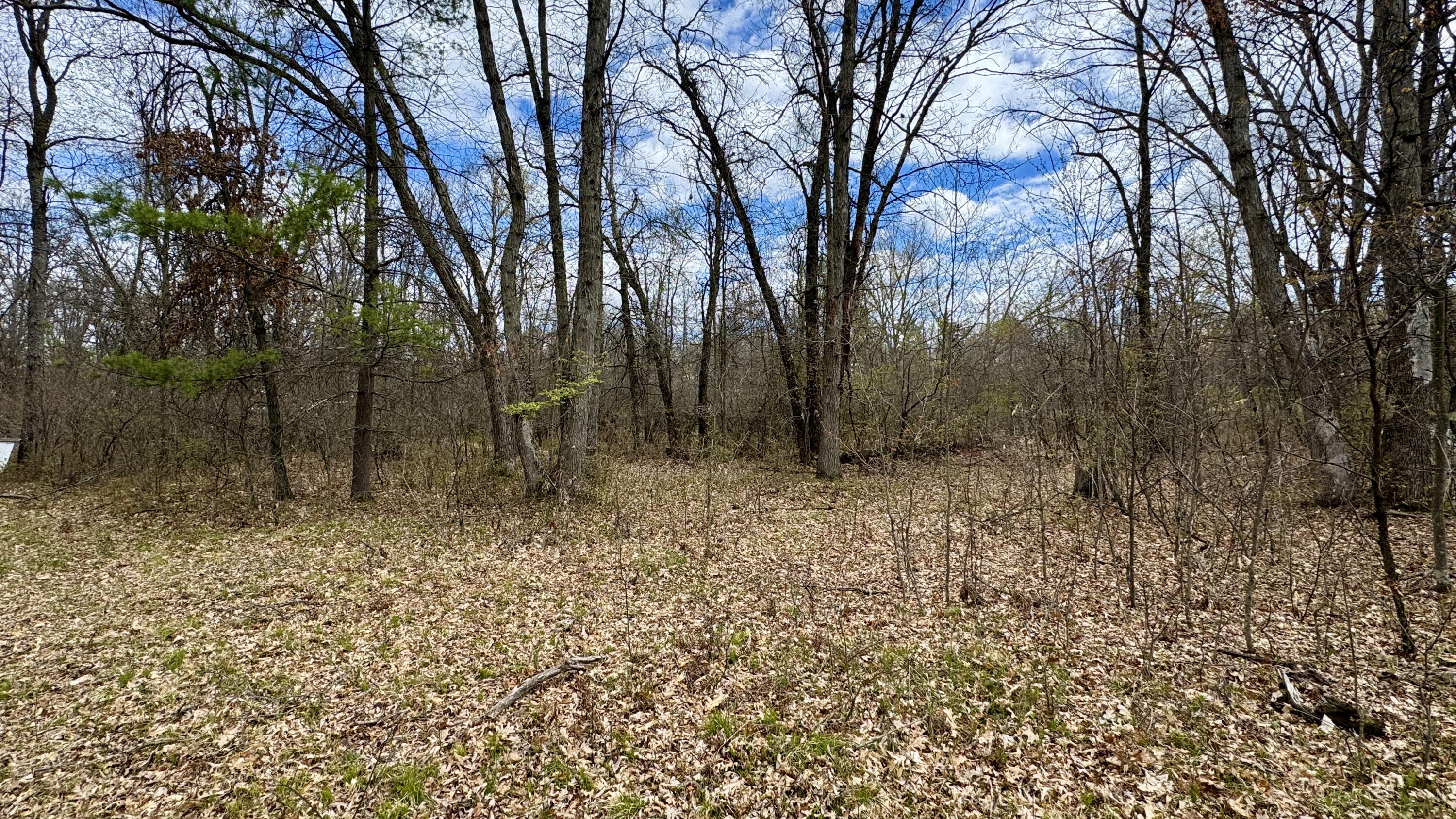 1496 17 Mile Road Property Photo 11