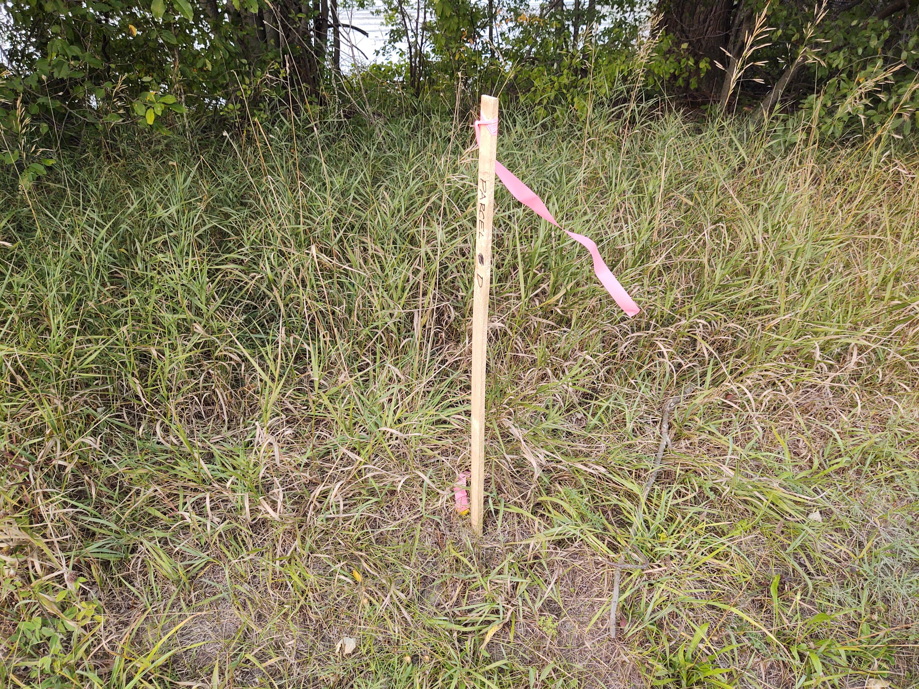 Lot F W Marrison Road Property Photo 5