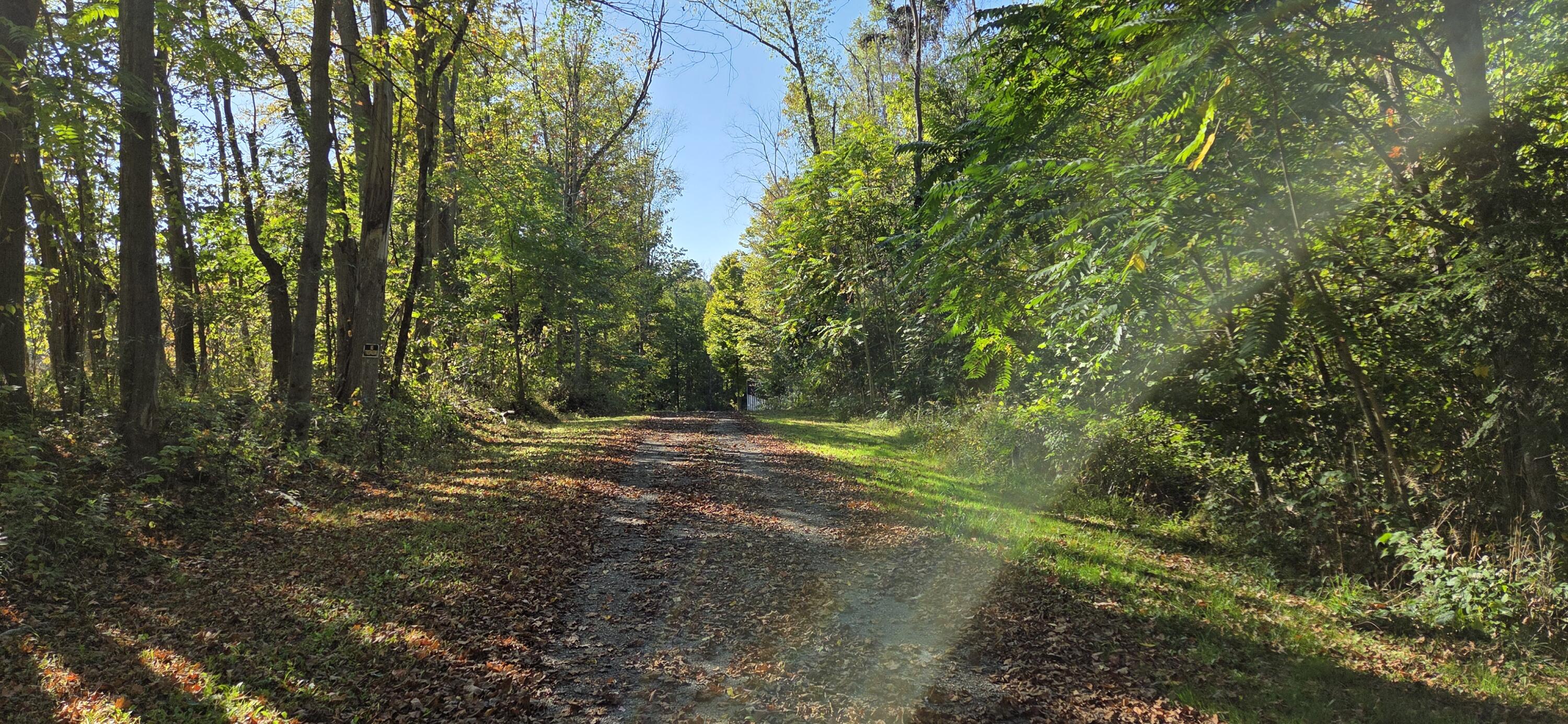 64778 Union Road Property Photo 7