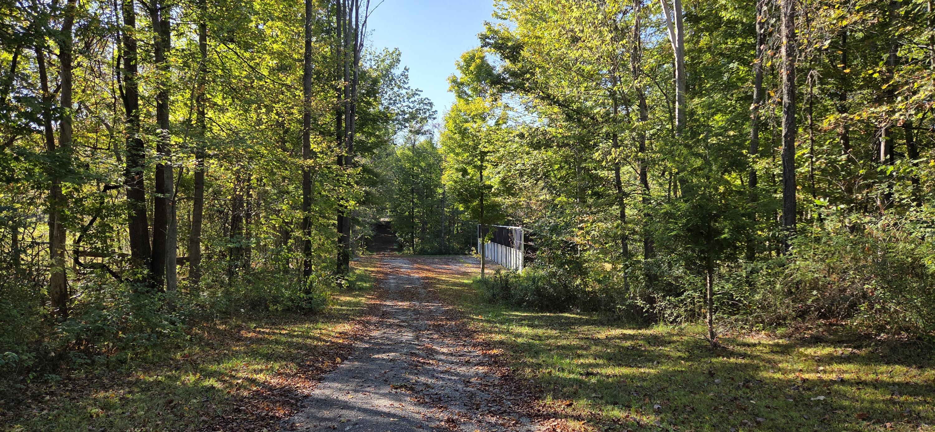 64778 Union Road Property Photo 8