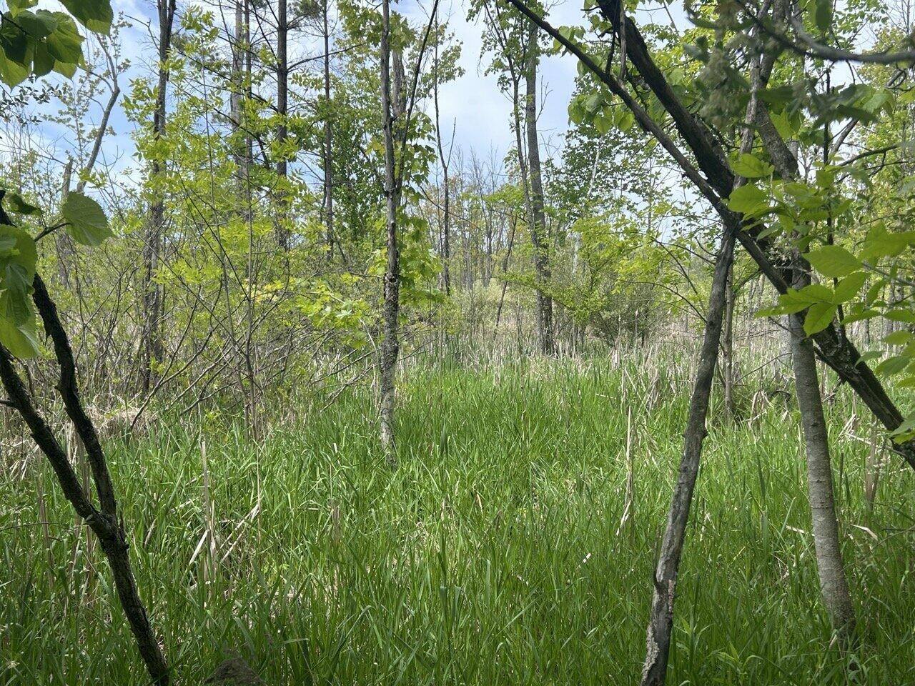 11917 Elm Drive Property Photo 7