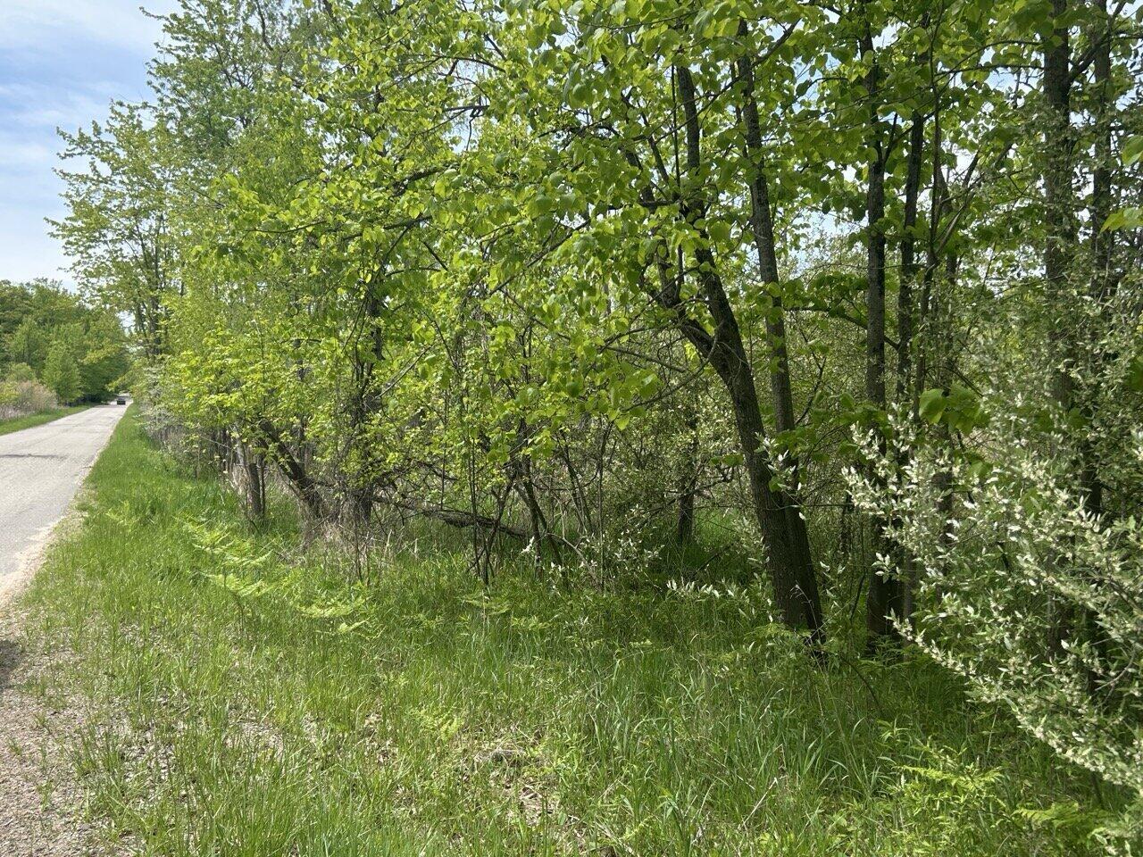 11917 Elm Drive Property Photo 8