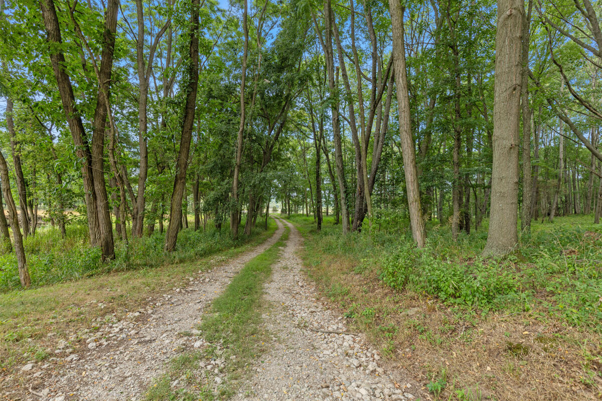 781 Hopkins Road Property Photo 18