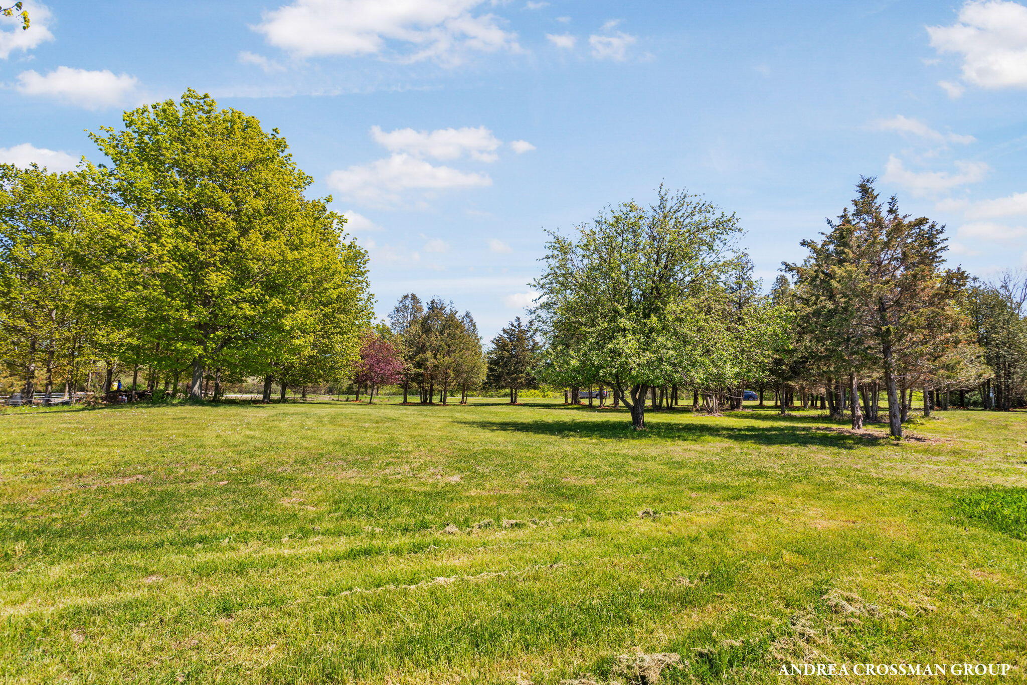 Adams Road Parcel B Property Photo 6