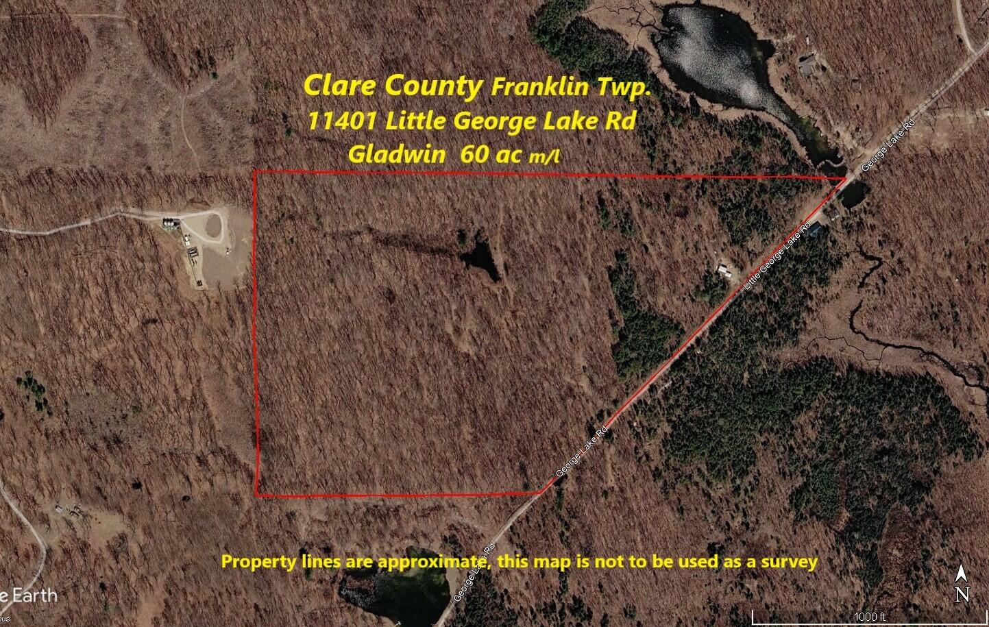 11401 Little George Lake Road Property Photo 3