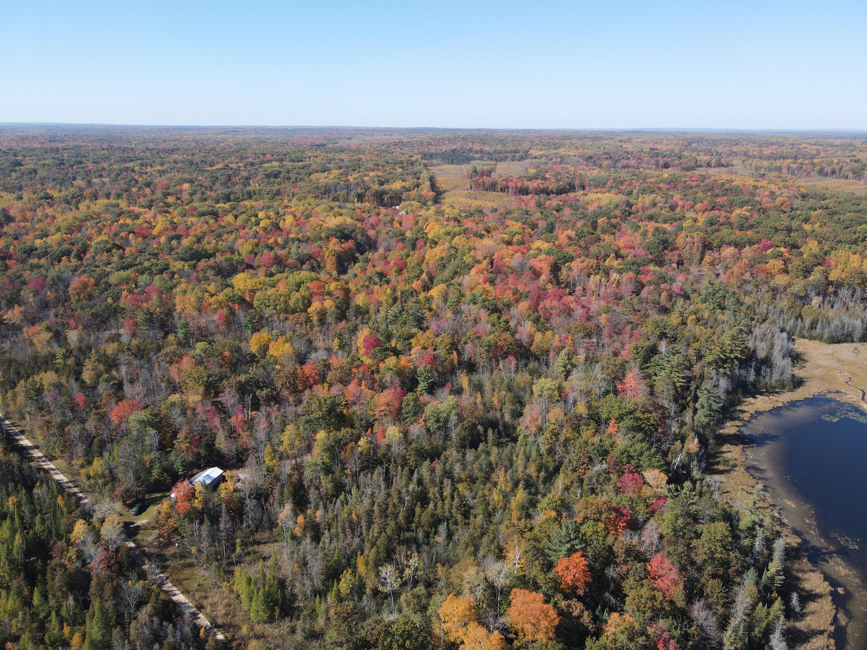 11401 Little George Lake Road Property Photo 29