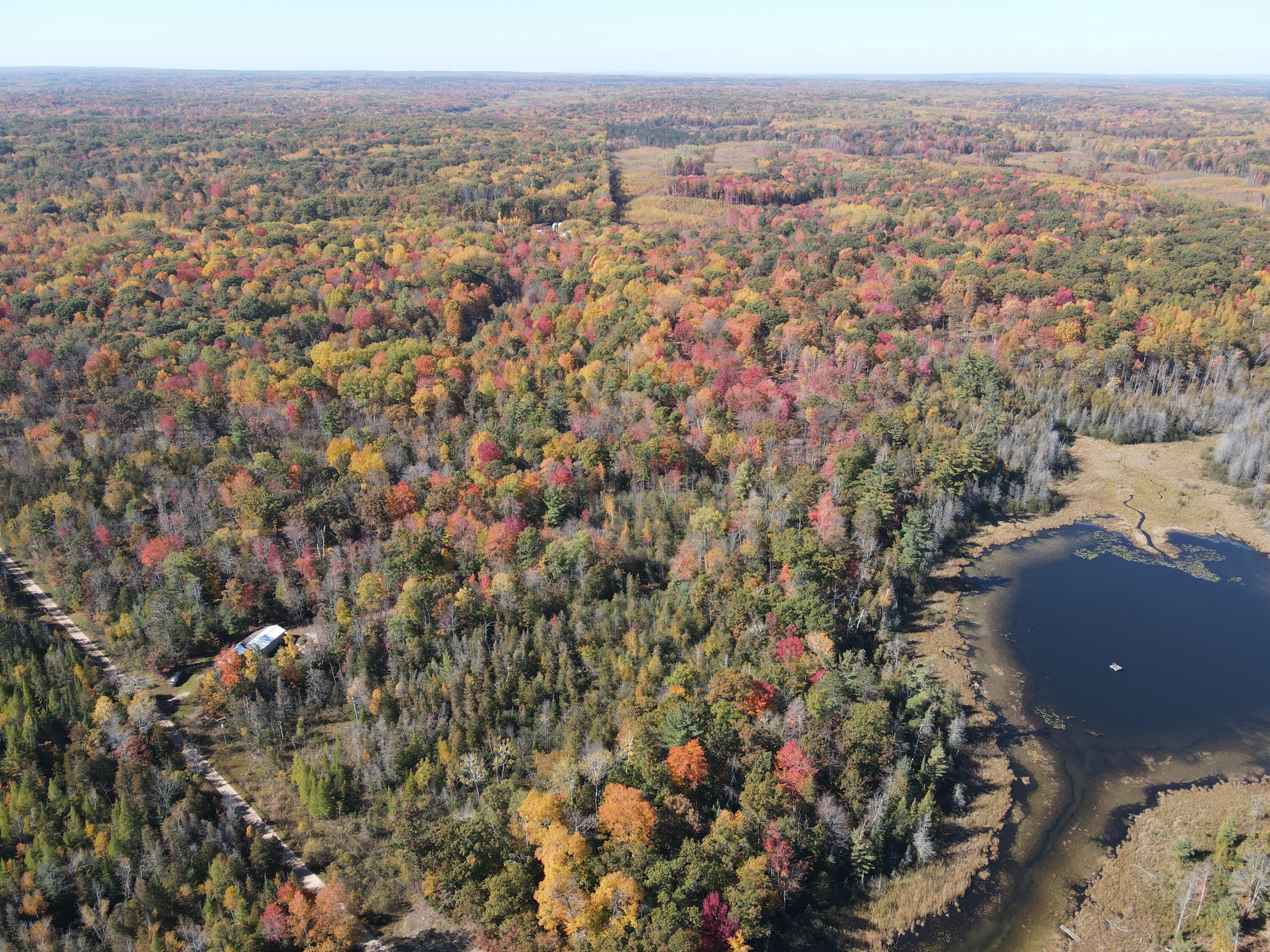 11401 Little George Lake Road Property Photo 30
