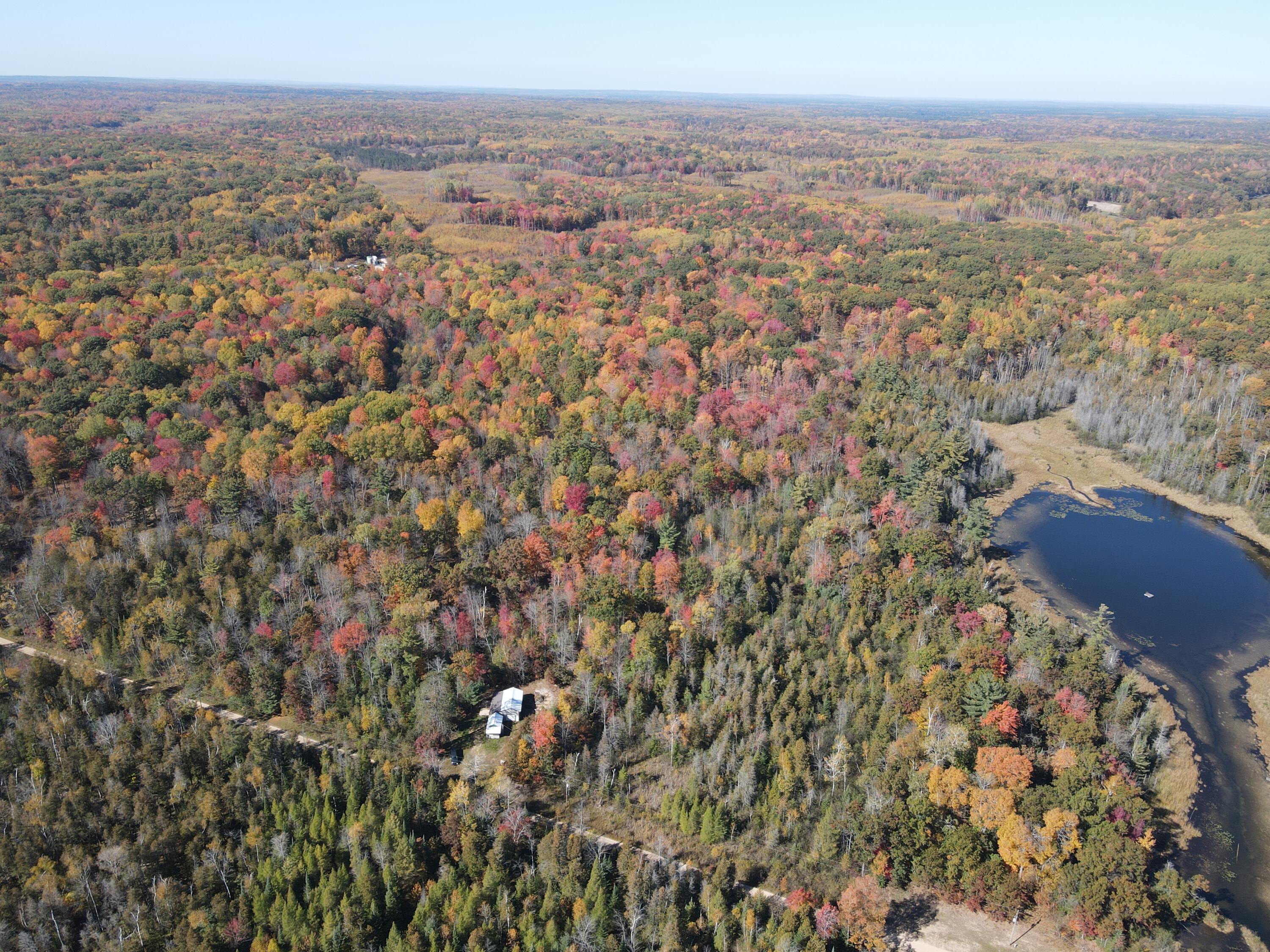 11401 Little George Lake Road Property Photo 31