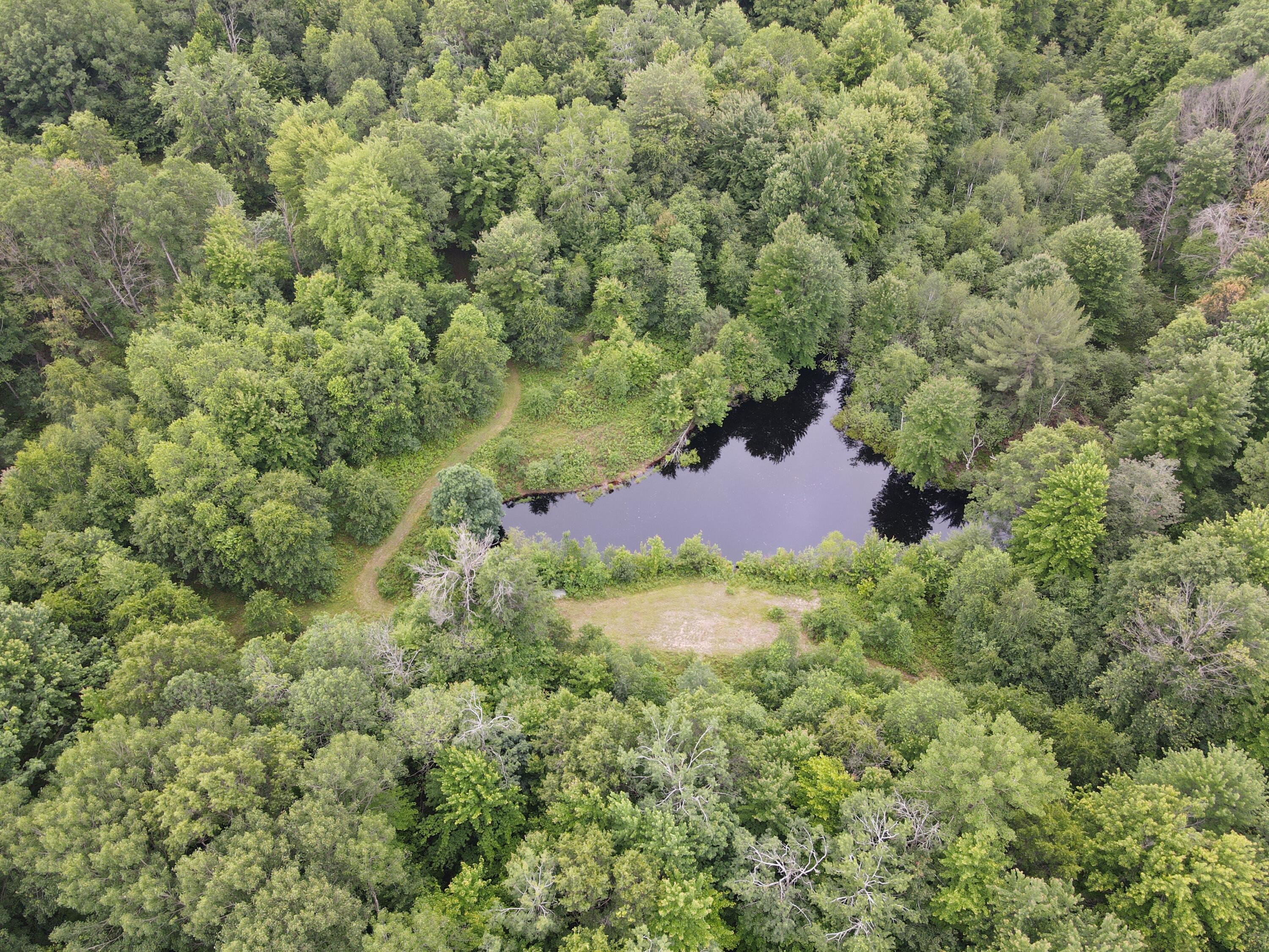 11401 Little George Lake Road Property Photo 39