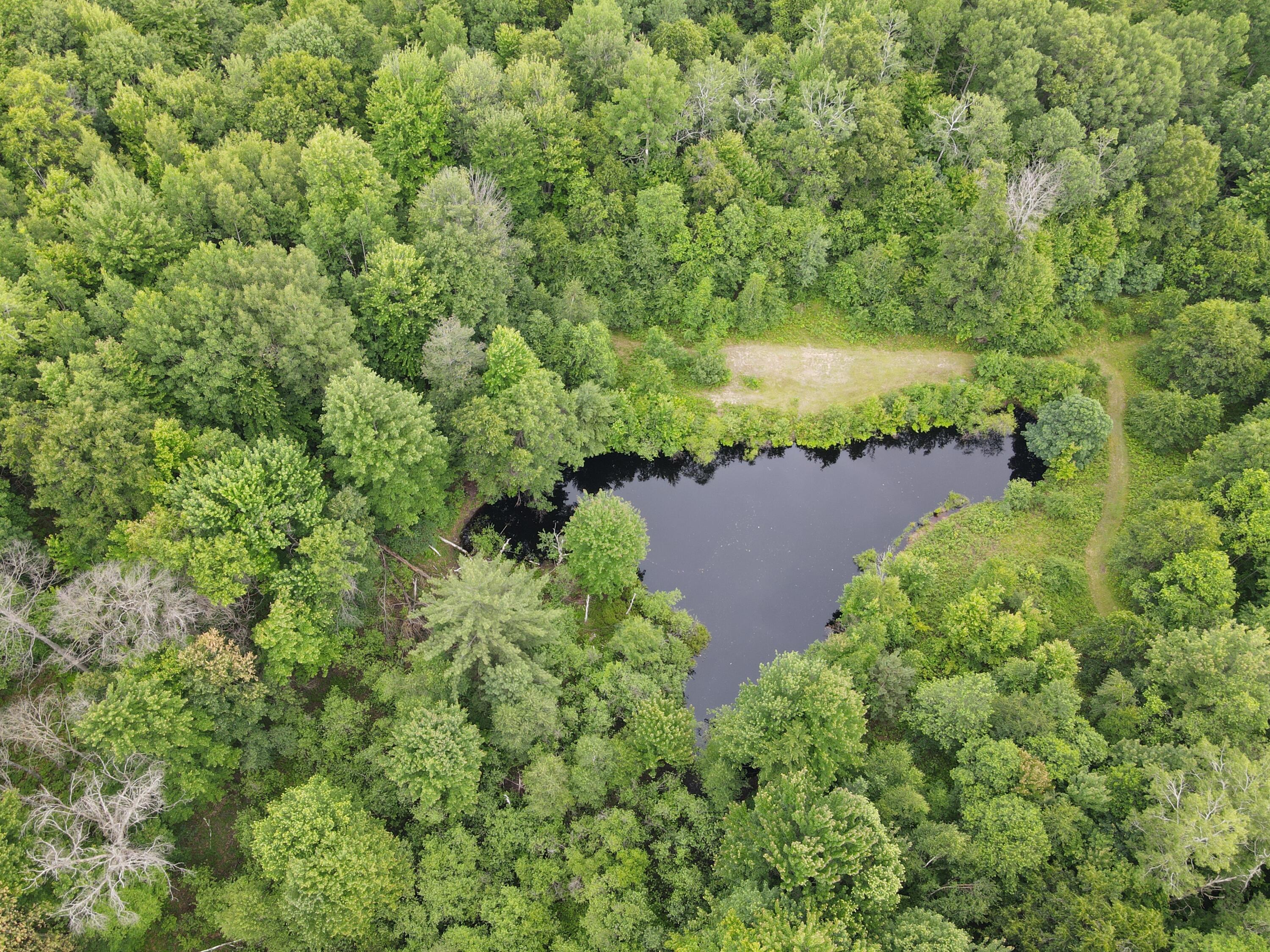 11401 Little George Lake Road Property Photo 40