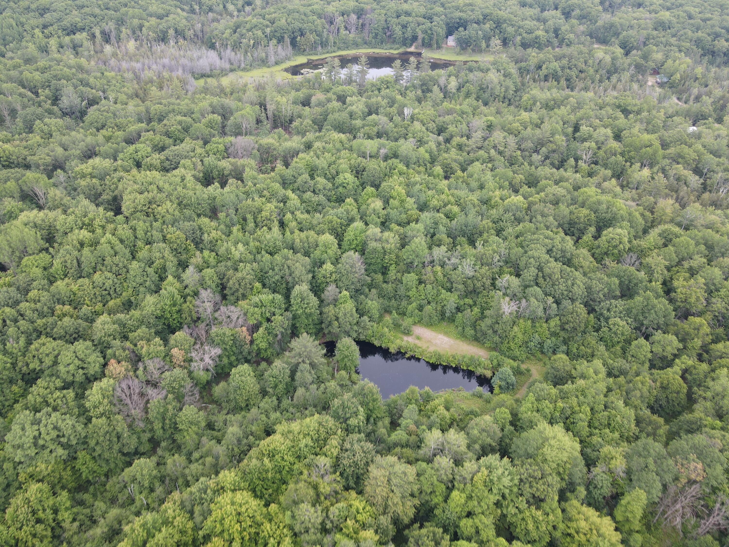 11401 Little George Lake Road Property Photo 41