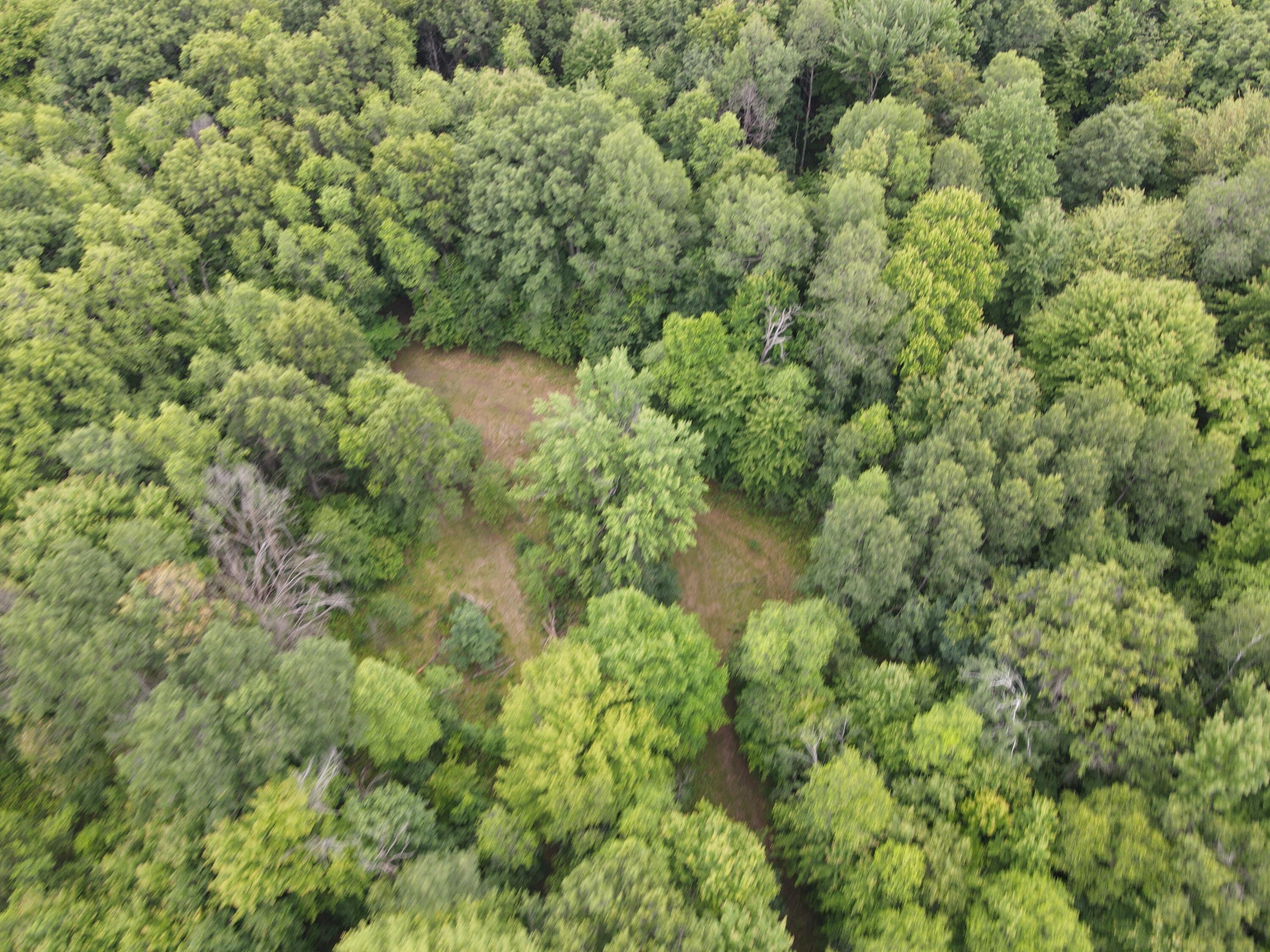 11401 Little George Lake Road Property Photo 42