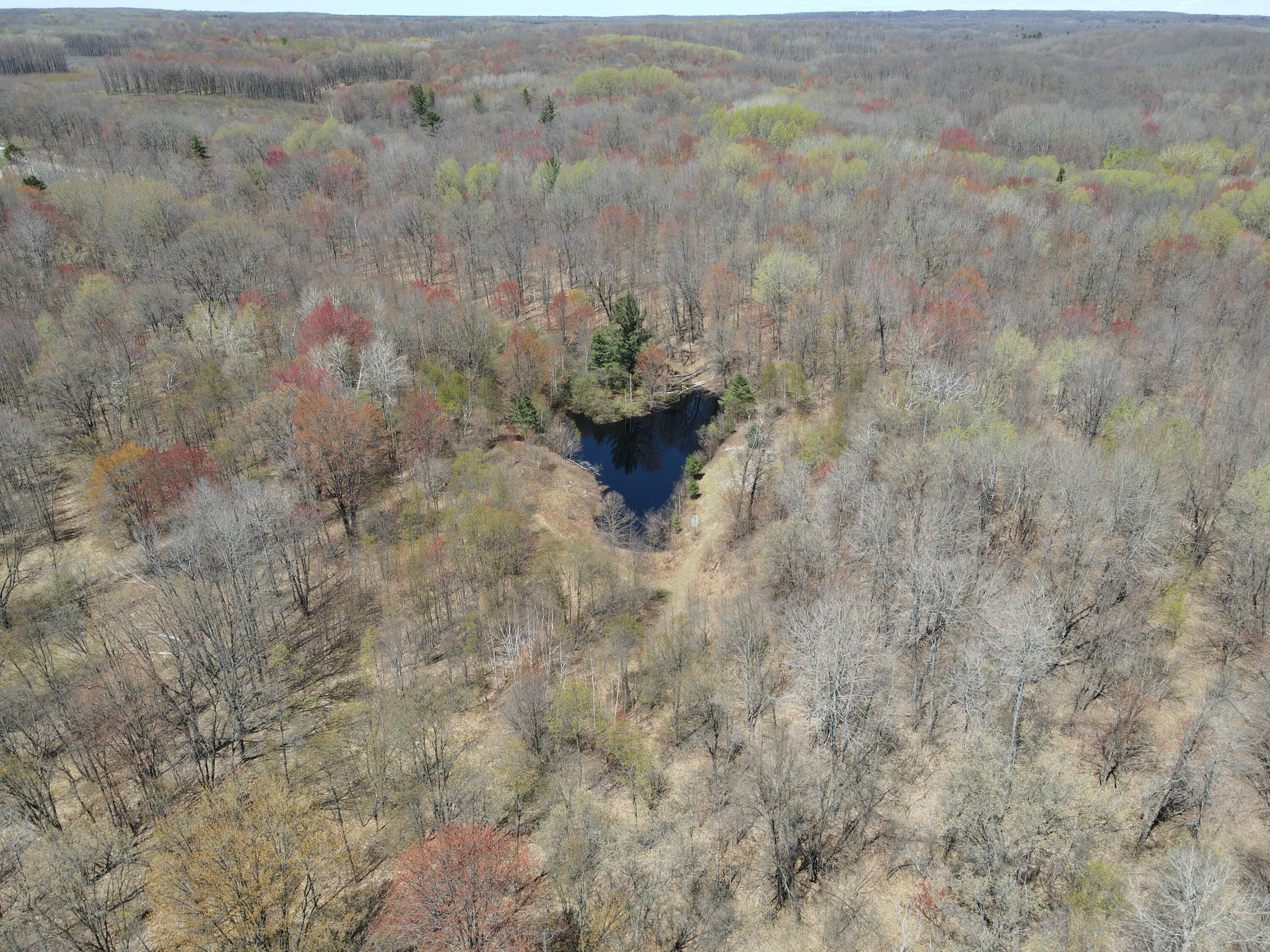 11401 Little George Lake Road Property Photo 47
