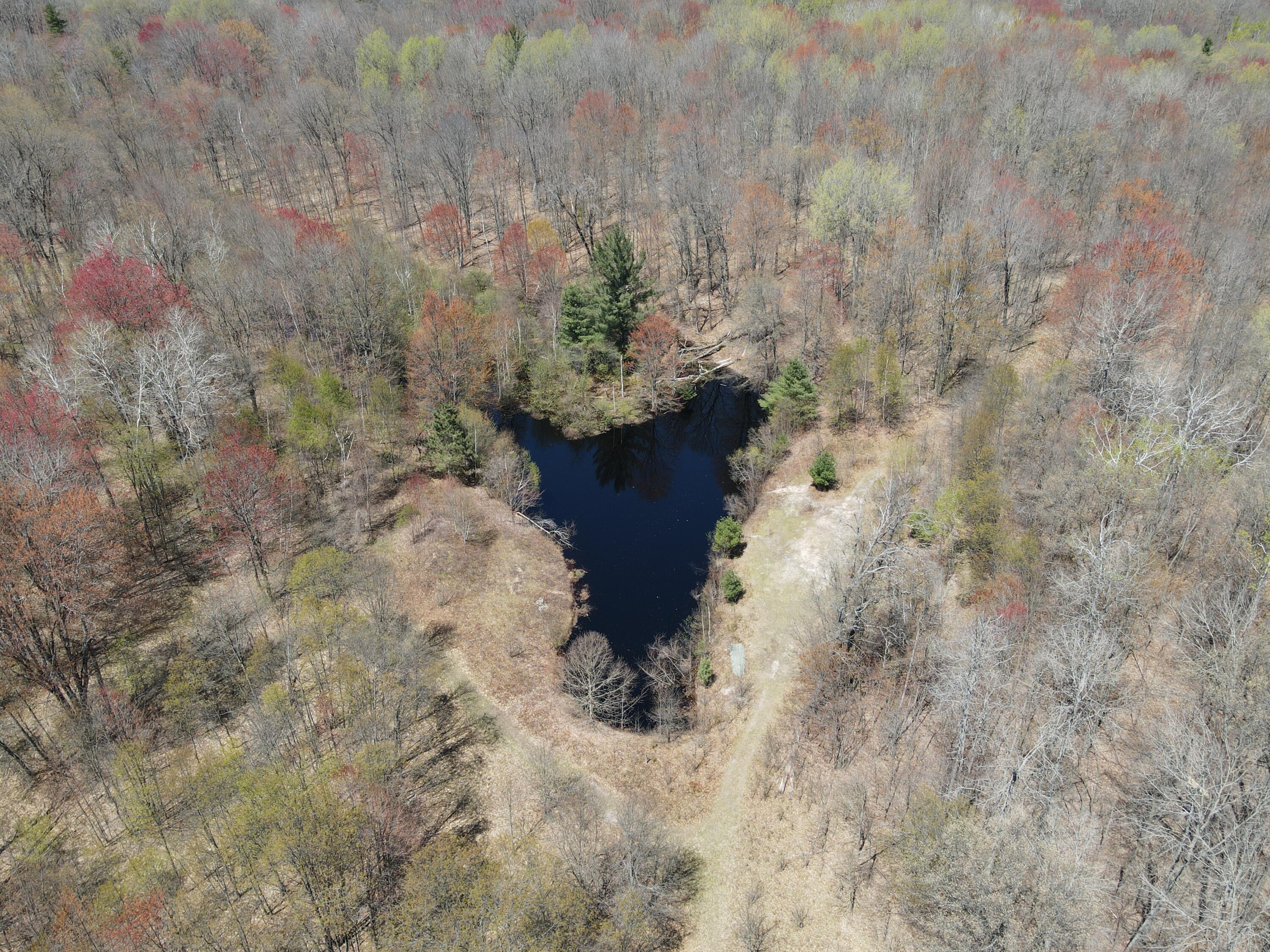 11401 Little George Lake Road Property Photo 48
