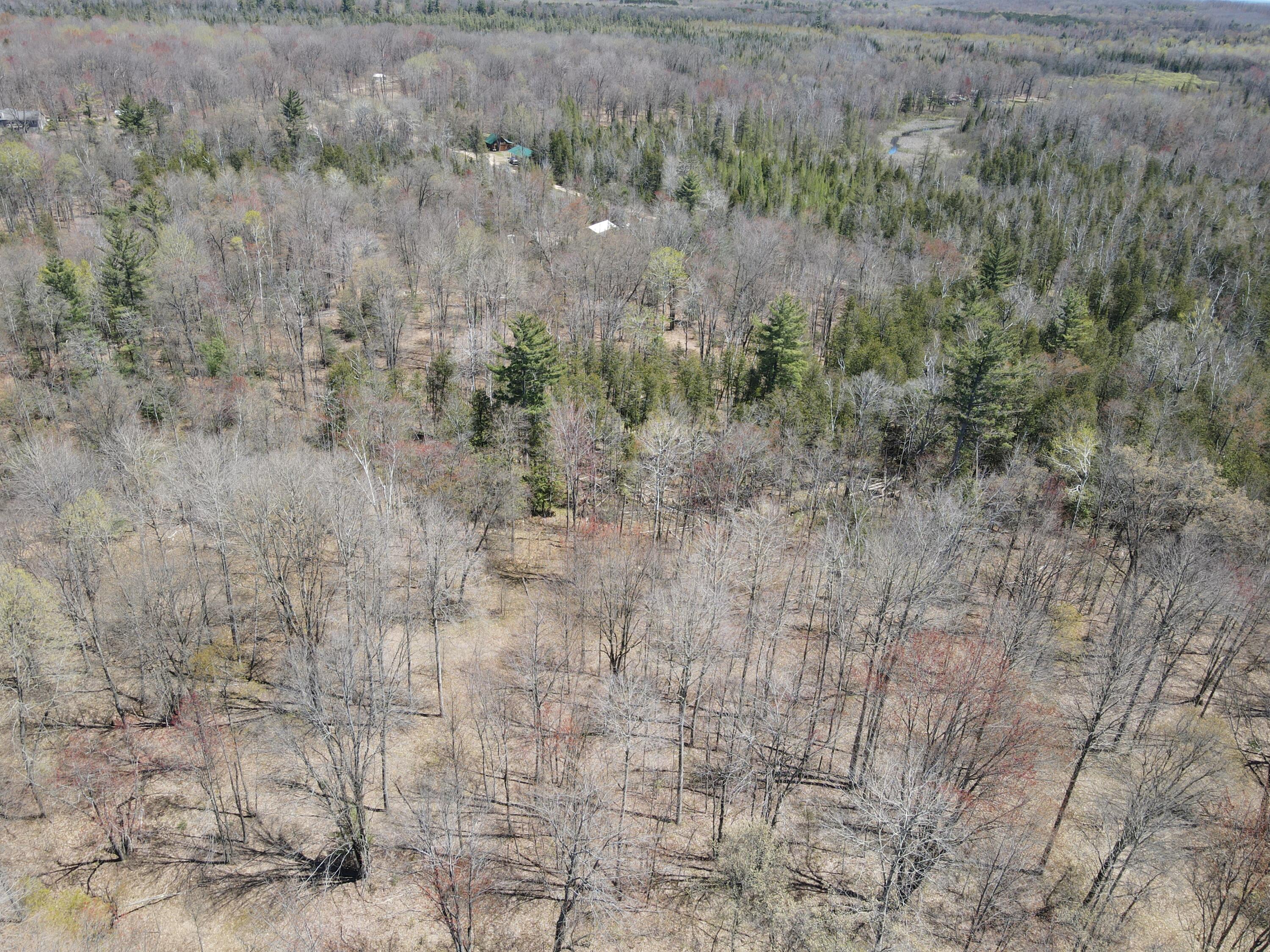 11401 Little George Lake Road Property Photo 49