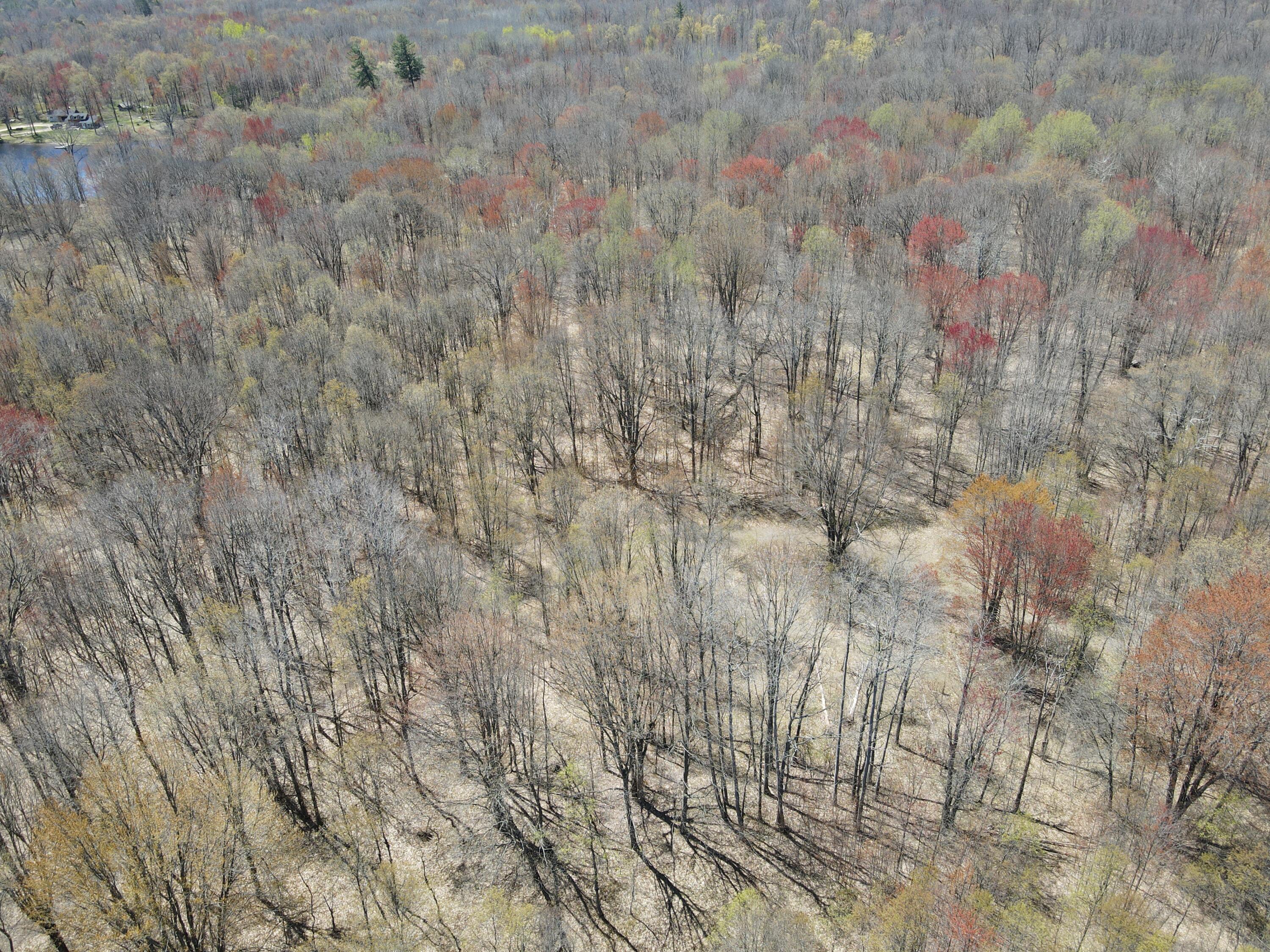 11401 Little George Lake Road Property Photo 50