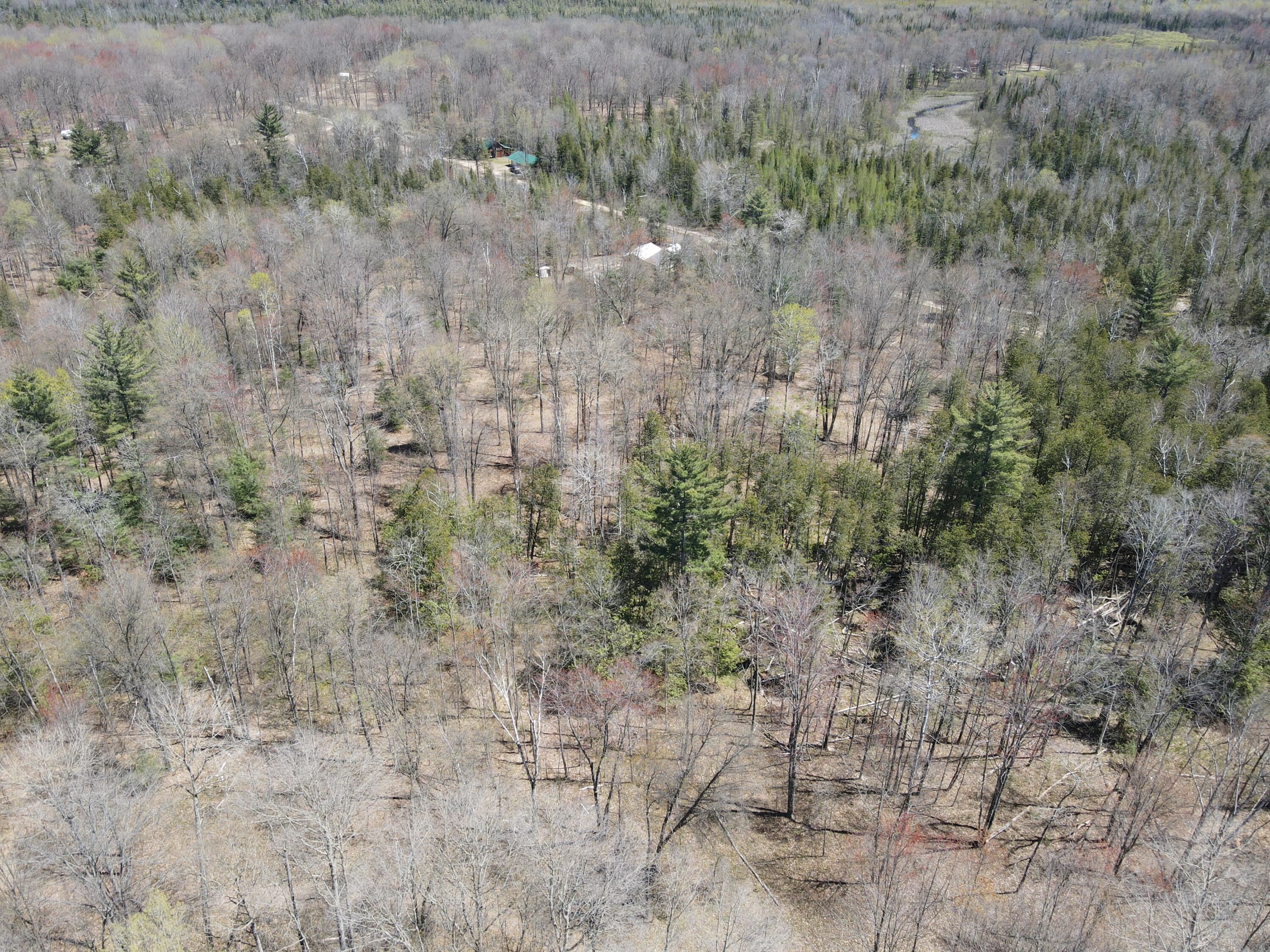 11401 Little George Lake Road Property Photo 51